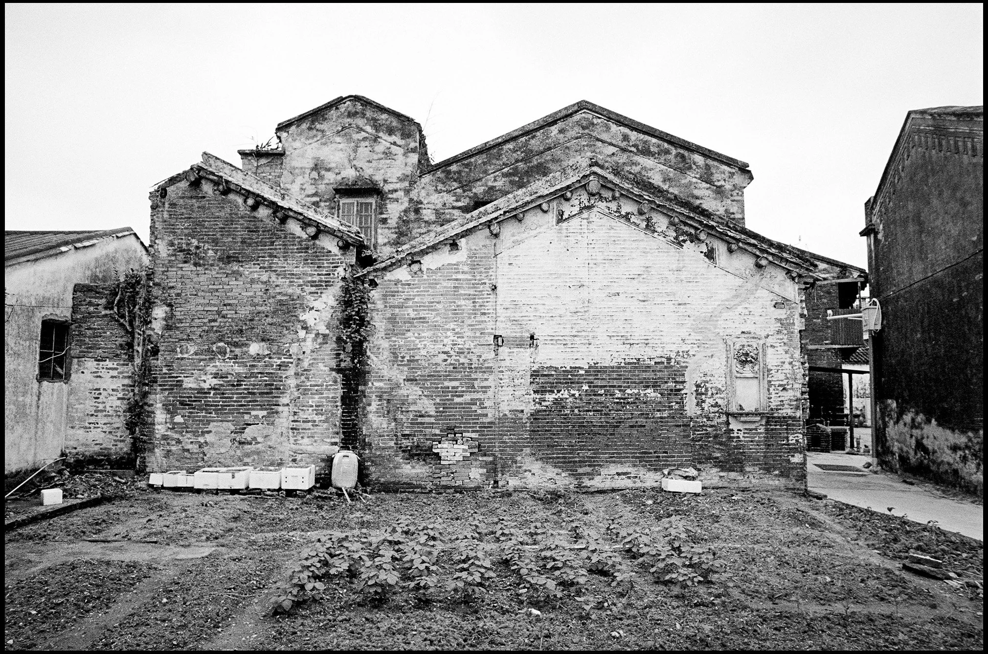 Vegetable Garden, Guangdong Province, China 2025