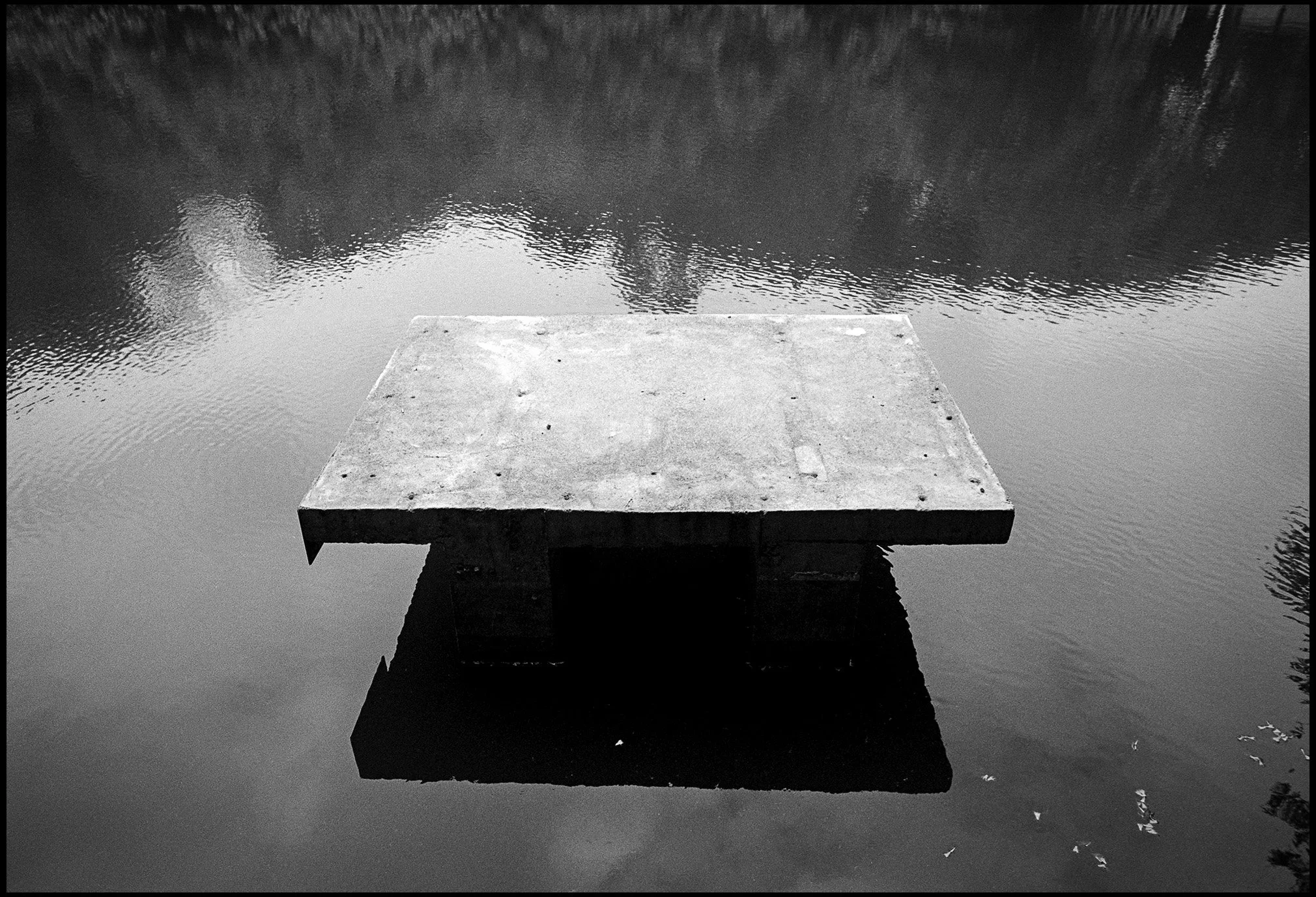 Contemplation, Shenzhen, China 2025