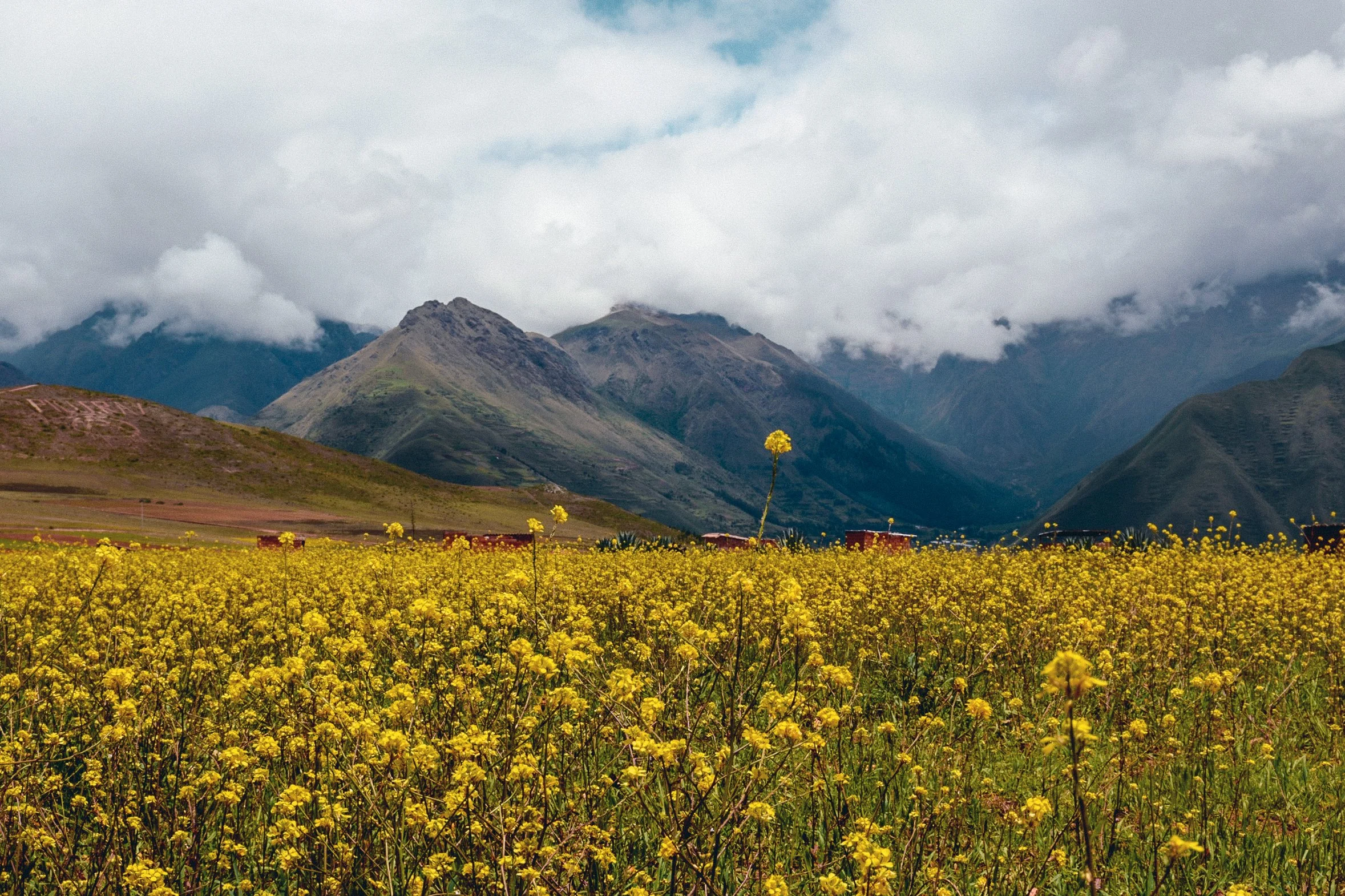 NES_2768 copia 2.jpg