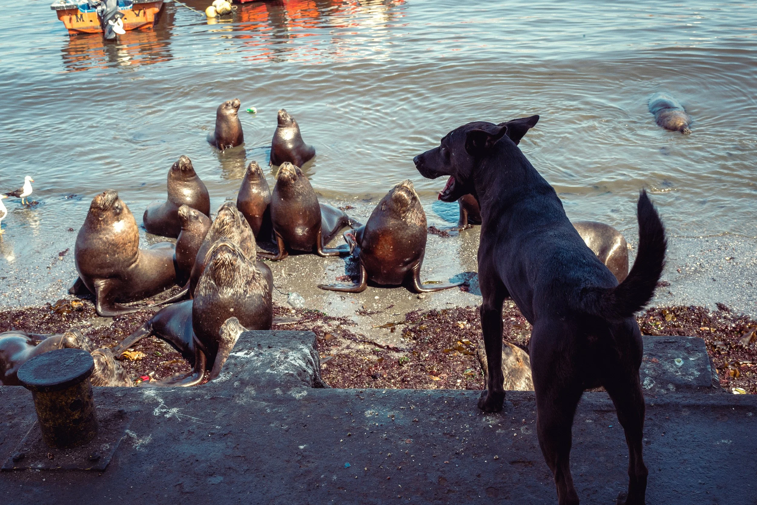 _NDF8166-3 copia.jpg