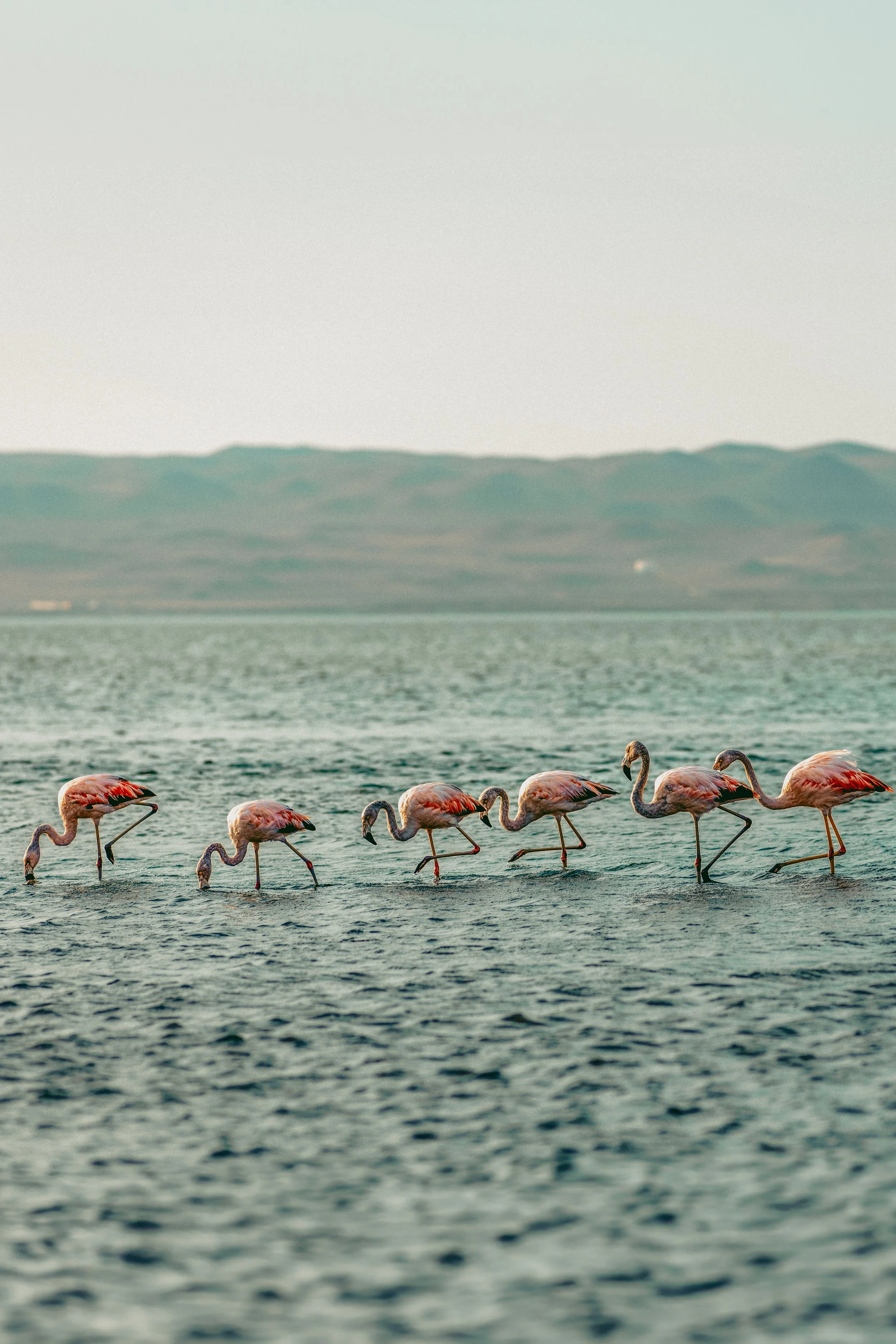 NES_2053 copia 2.jpg