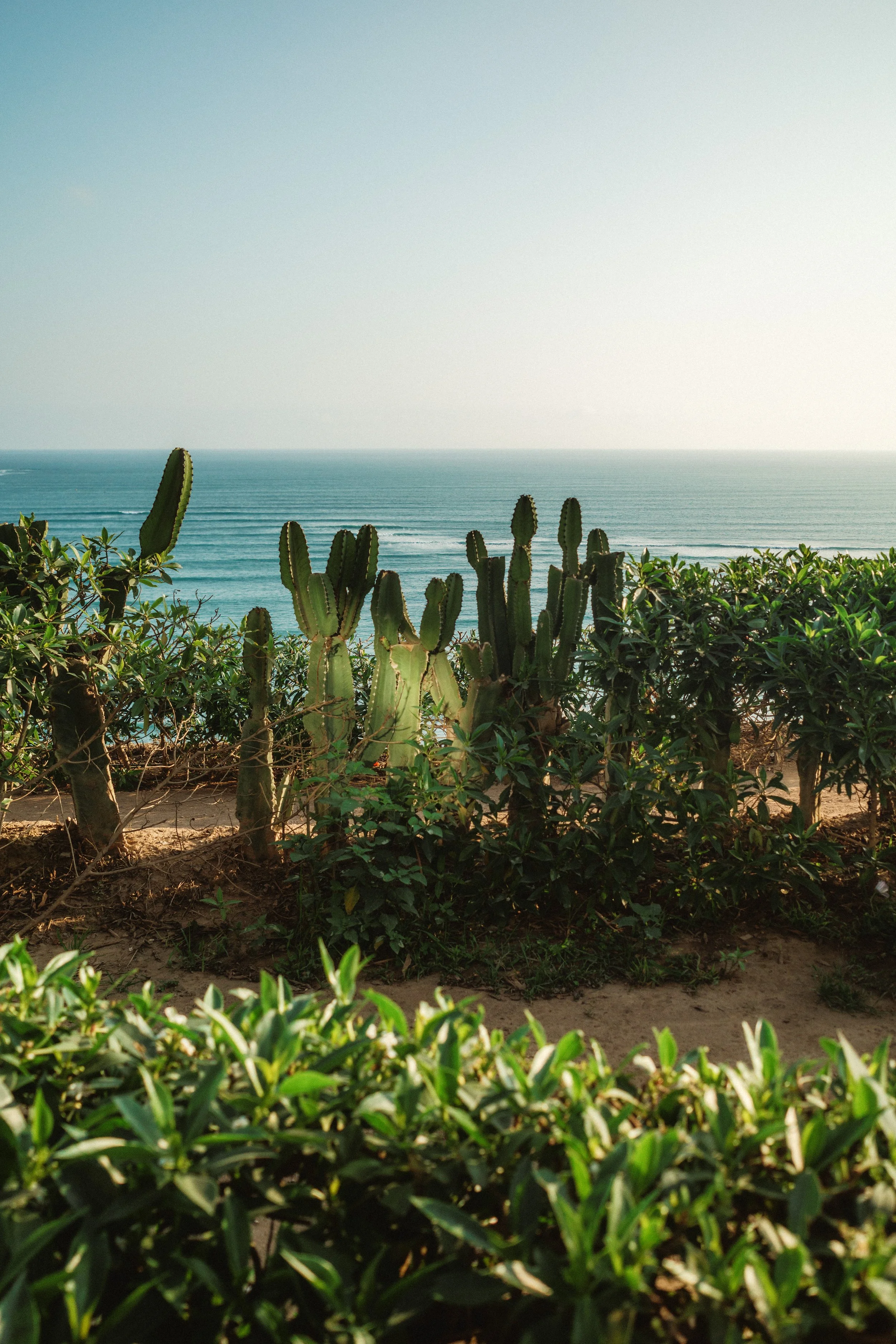 R0002132 copia 2.jpg