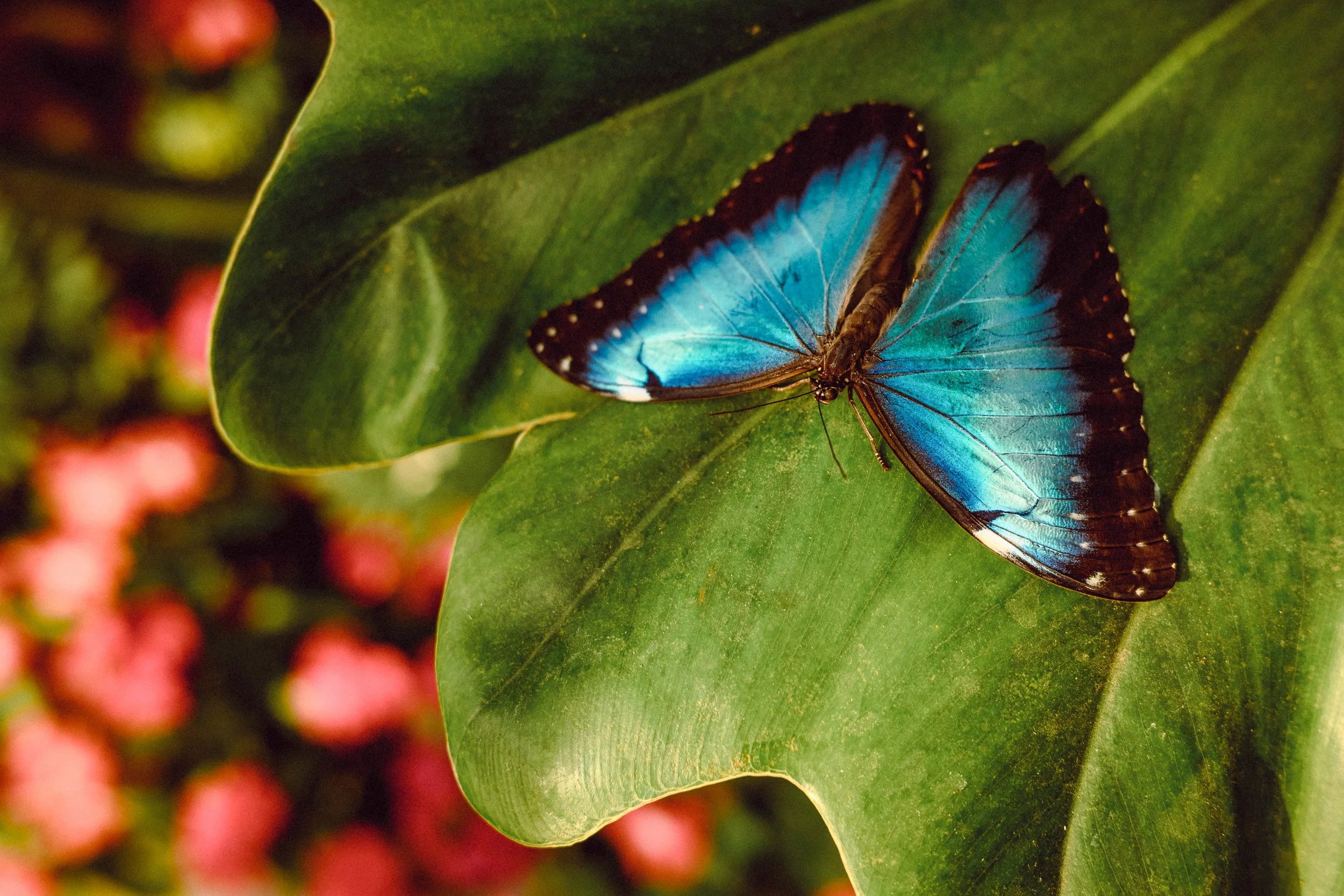 _ZFN2756 copia 2.jpg