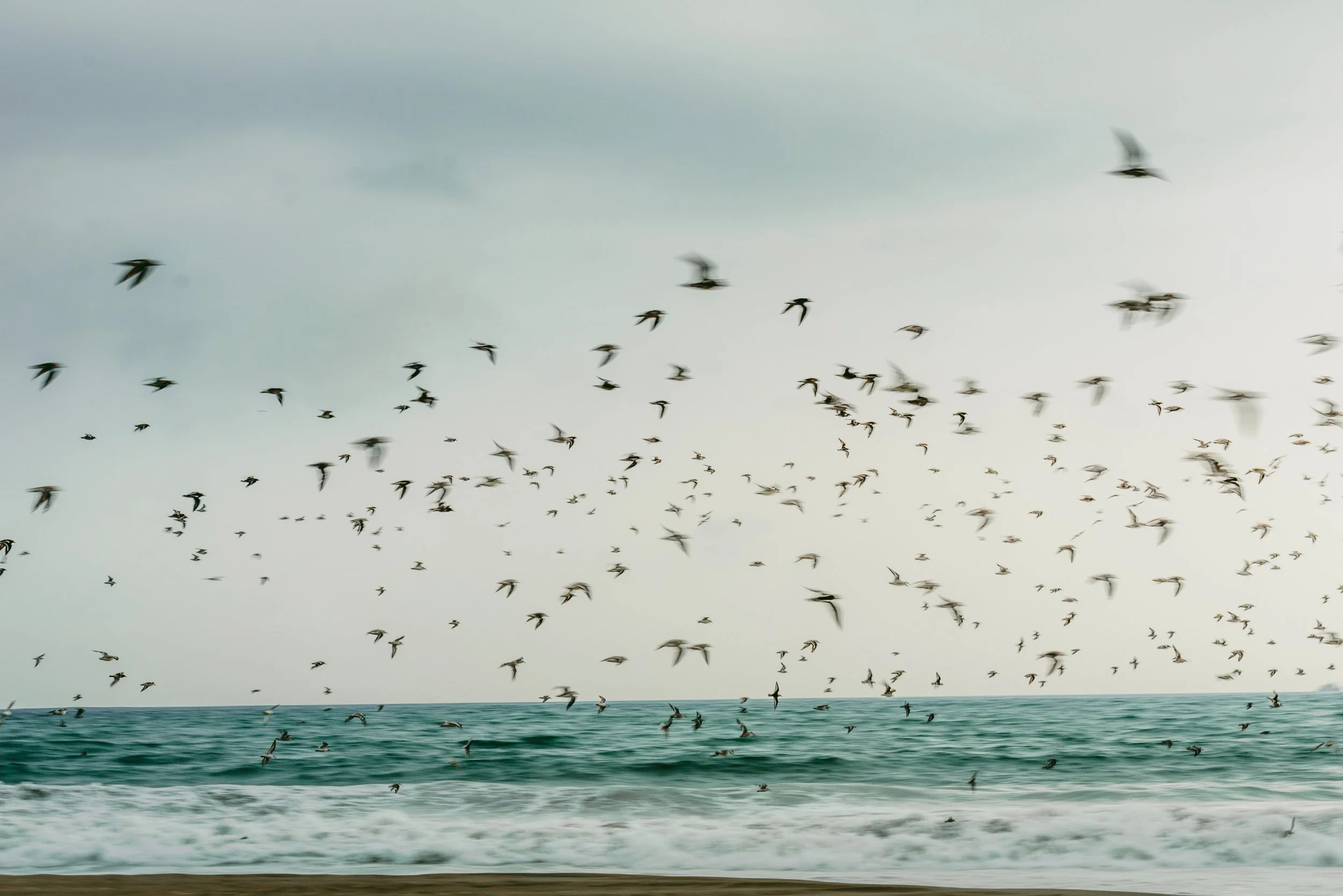 DSC_0736 copia 2.jpg