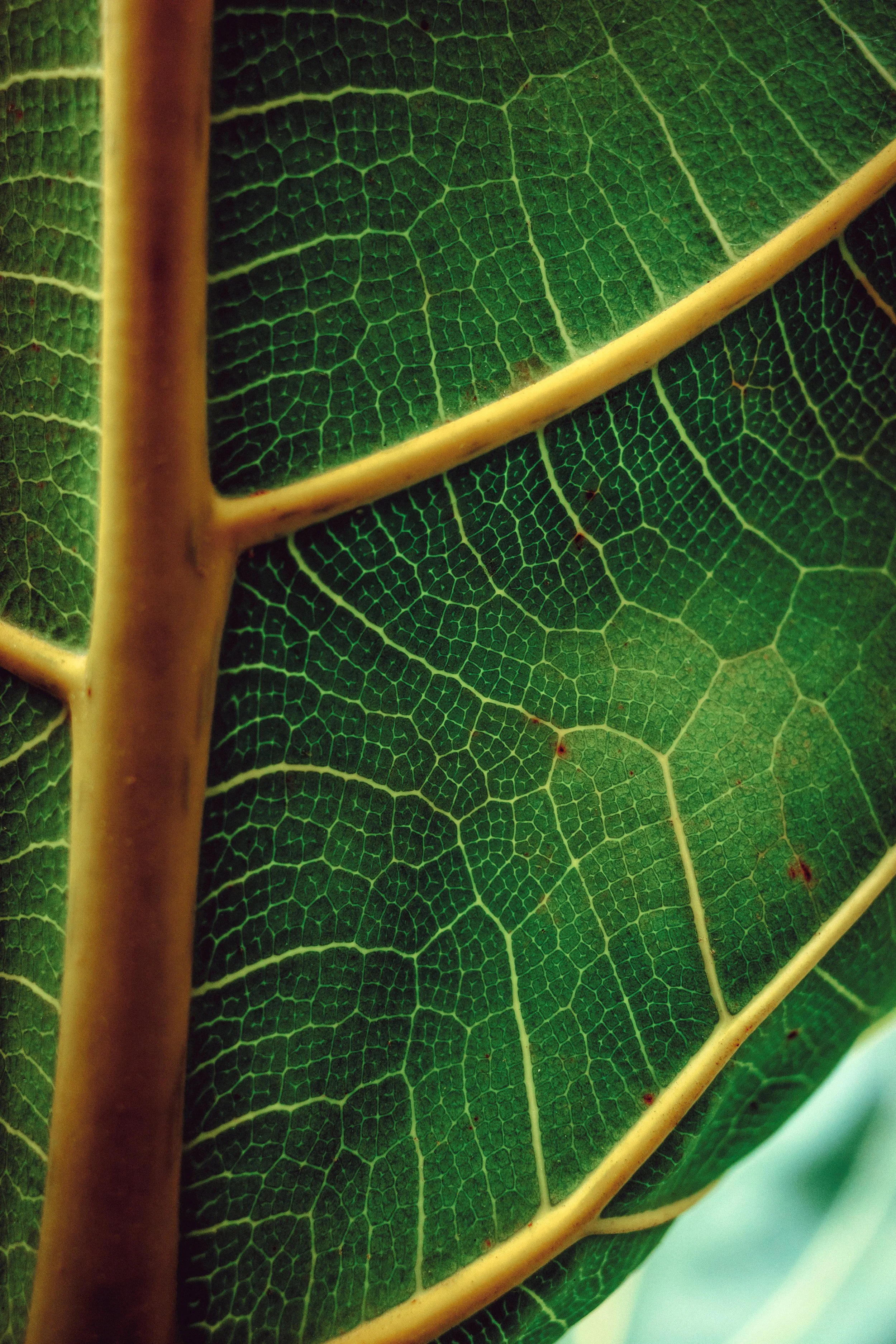 R0001678 copia 2.jpg