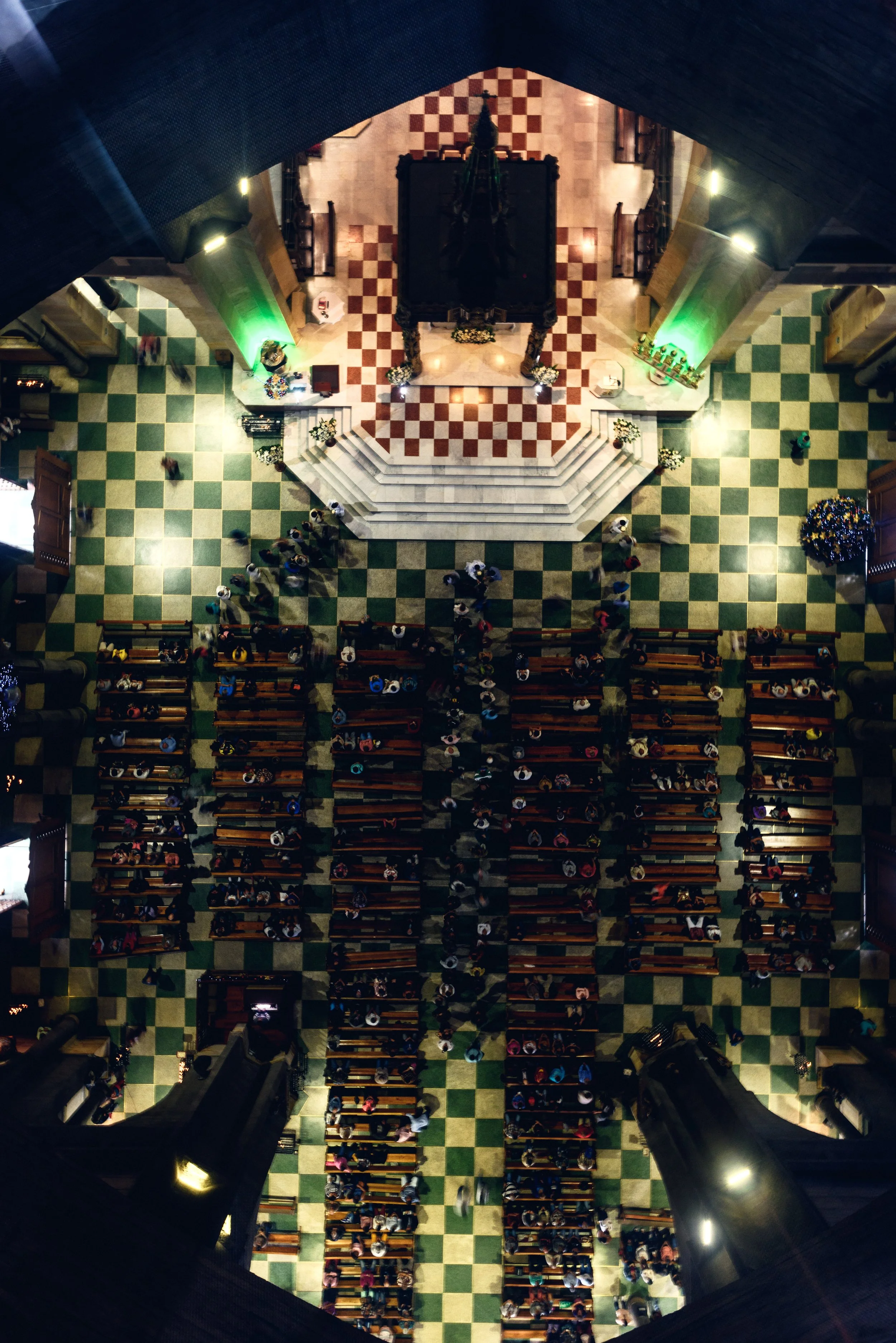 NES_9641 cghopia.jpg