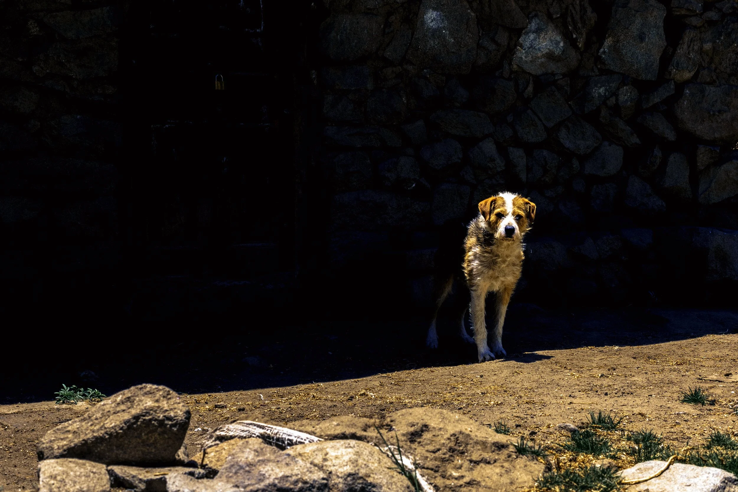 _NES3681 copia 2.jpg