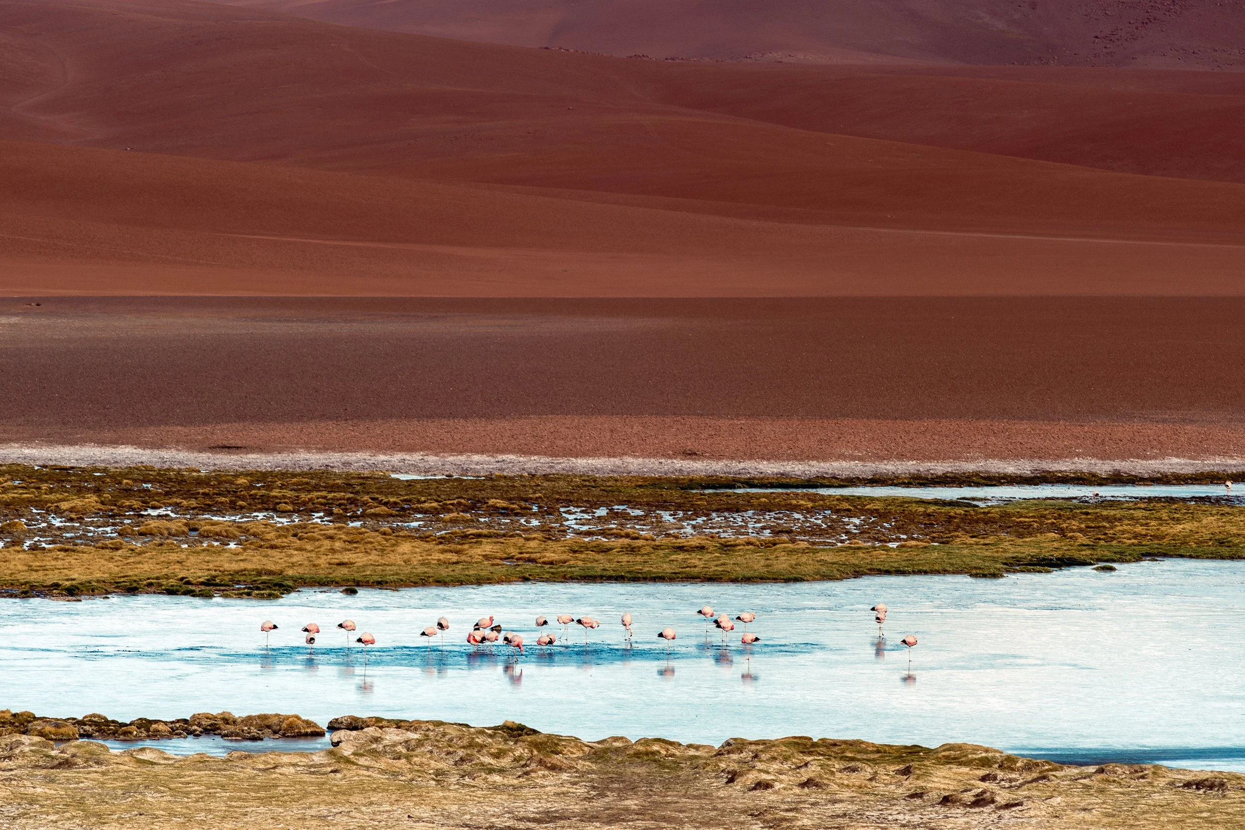 _NDF8422-1 copia.jpg