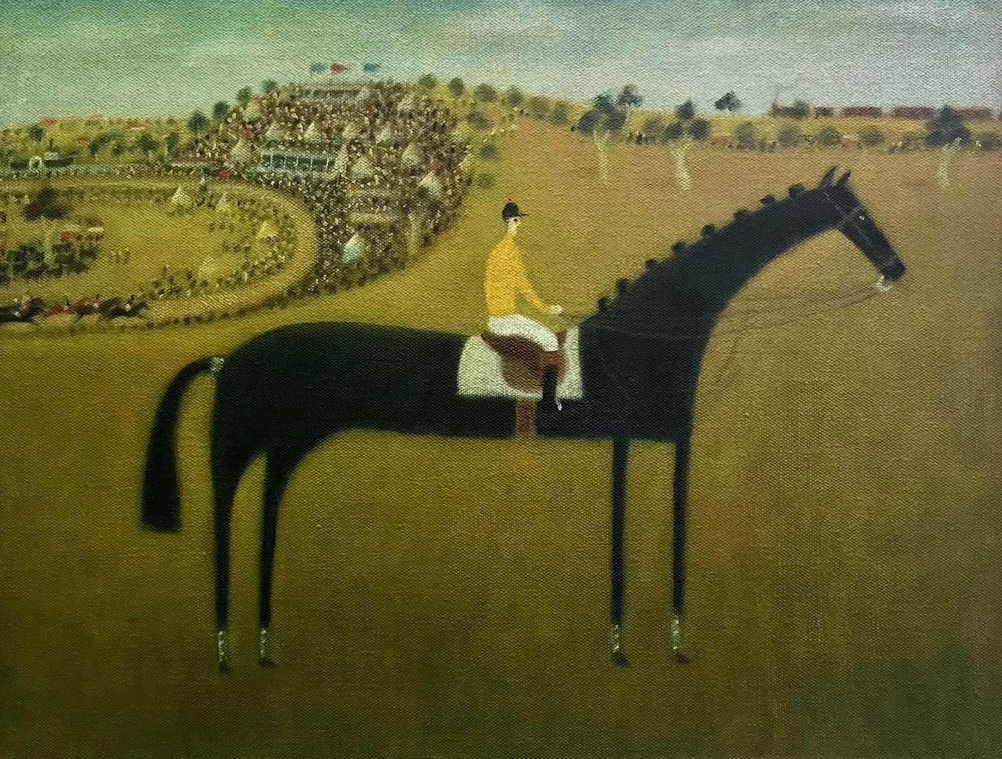 The Barb 2026   oil on Belgian linen,   50cm x 40cm