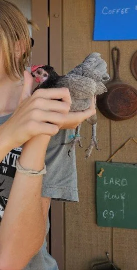 Poultry Clinic 9/27/25