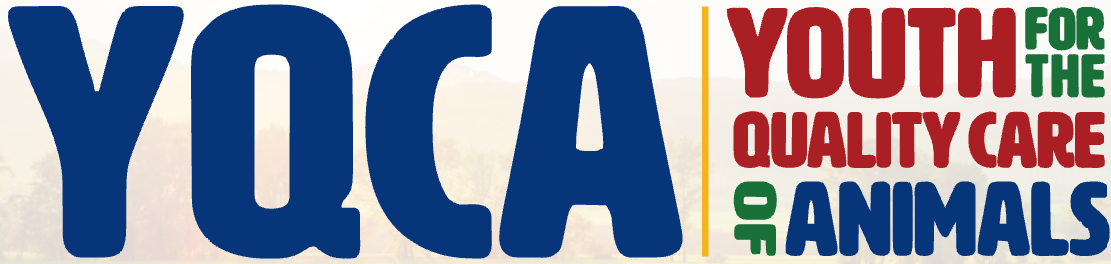 In Person YQCA Training