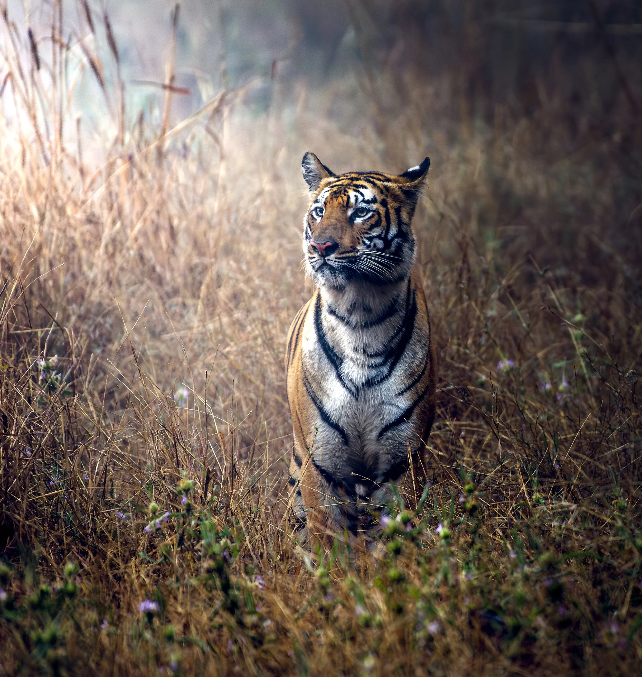 _DSC0333-Edit-Edit.jpg