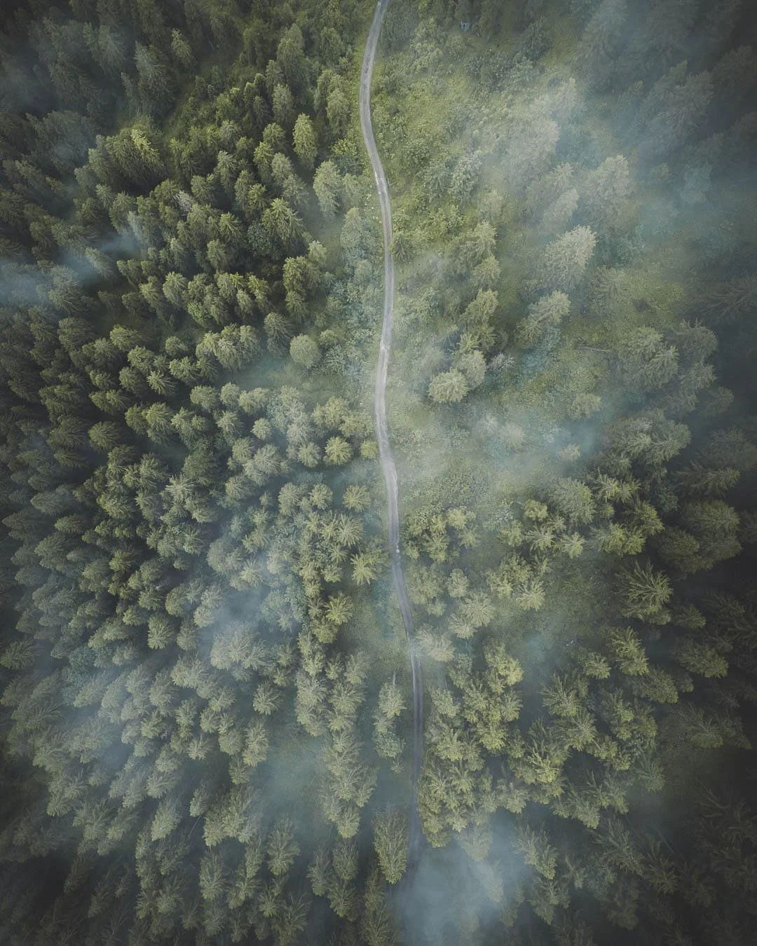 DJI_0014 Kopie 3.jpg