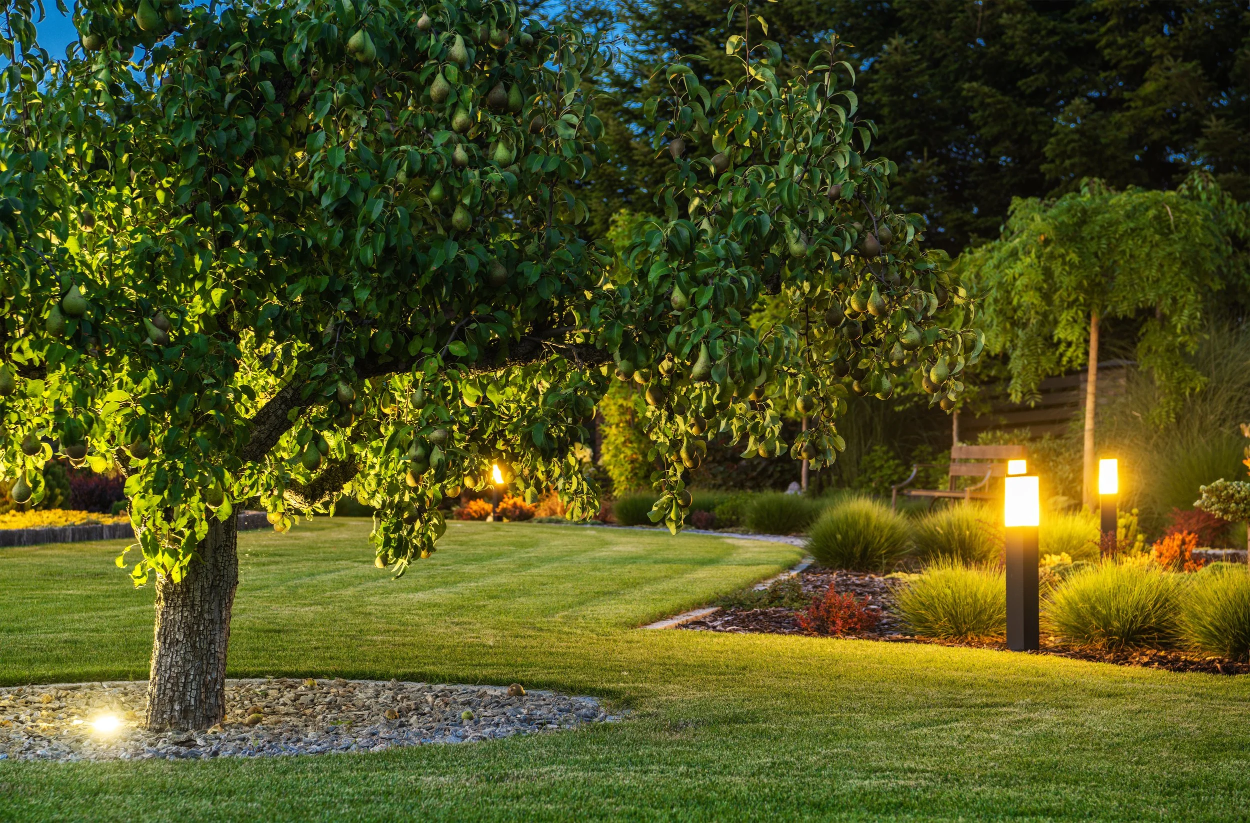 beautiful-landscape-garden-with-outdoor-lights-2023-11-27-05-08-58-utc.jpg