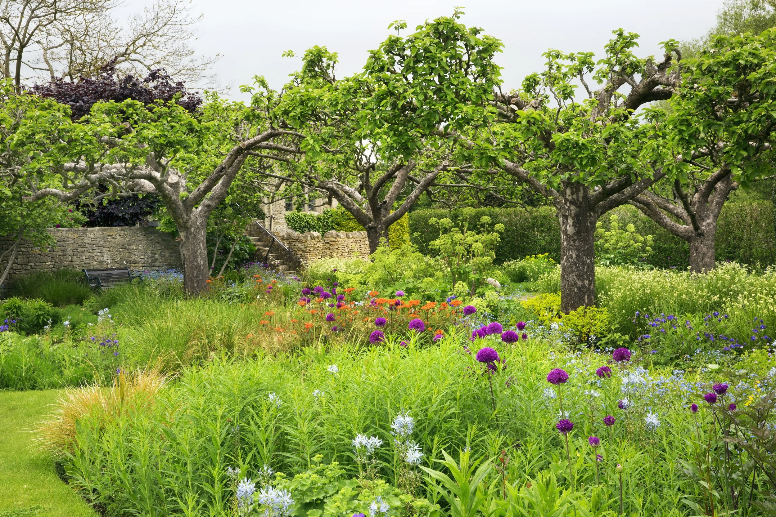 view-across-a-garden-with-flower-beds-and-trees-in-2023-11-27-04-54-46-utc.jpg