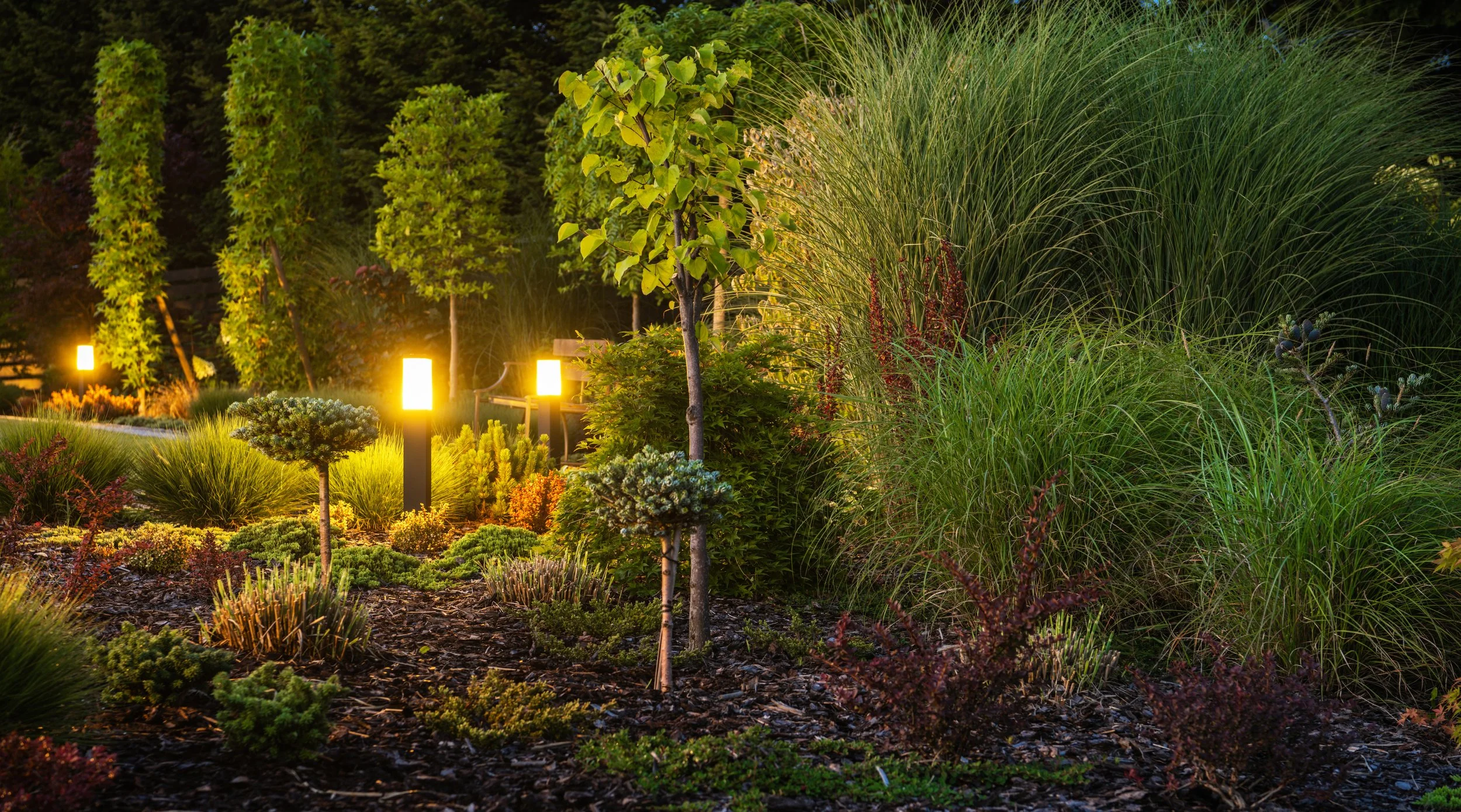 decorative-backyard-garden-illuminated-by-garden-l-2023-11-27-05-29-56-utc.jpeg