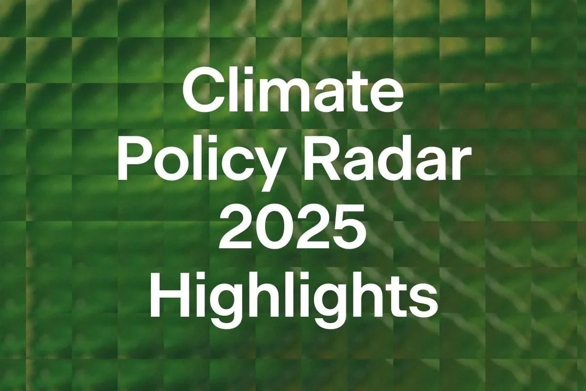 Climate Policy Radar’s user snapshot 2025