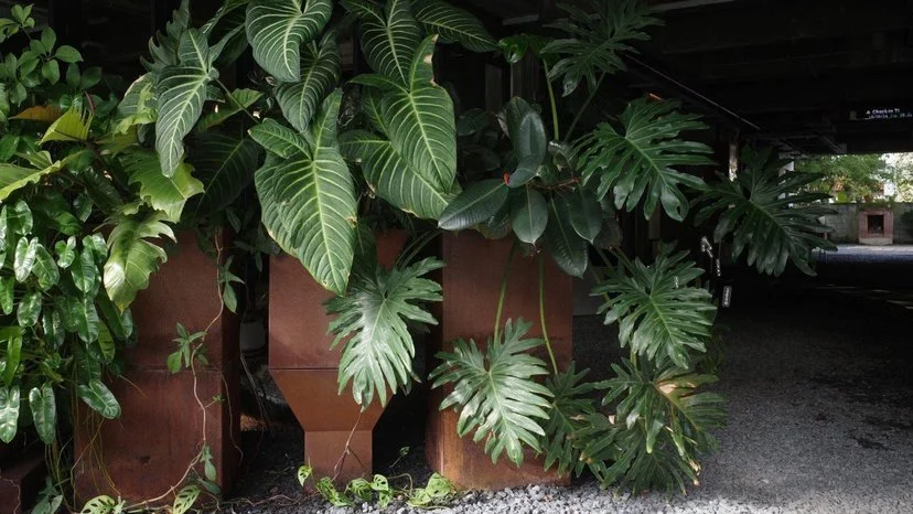 WhatsApp Image 2025-07-12 at 22.37.15_c631d830.jpg