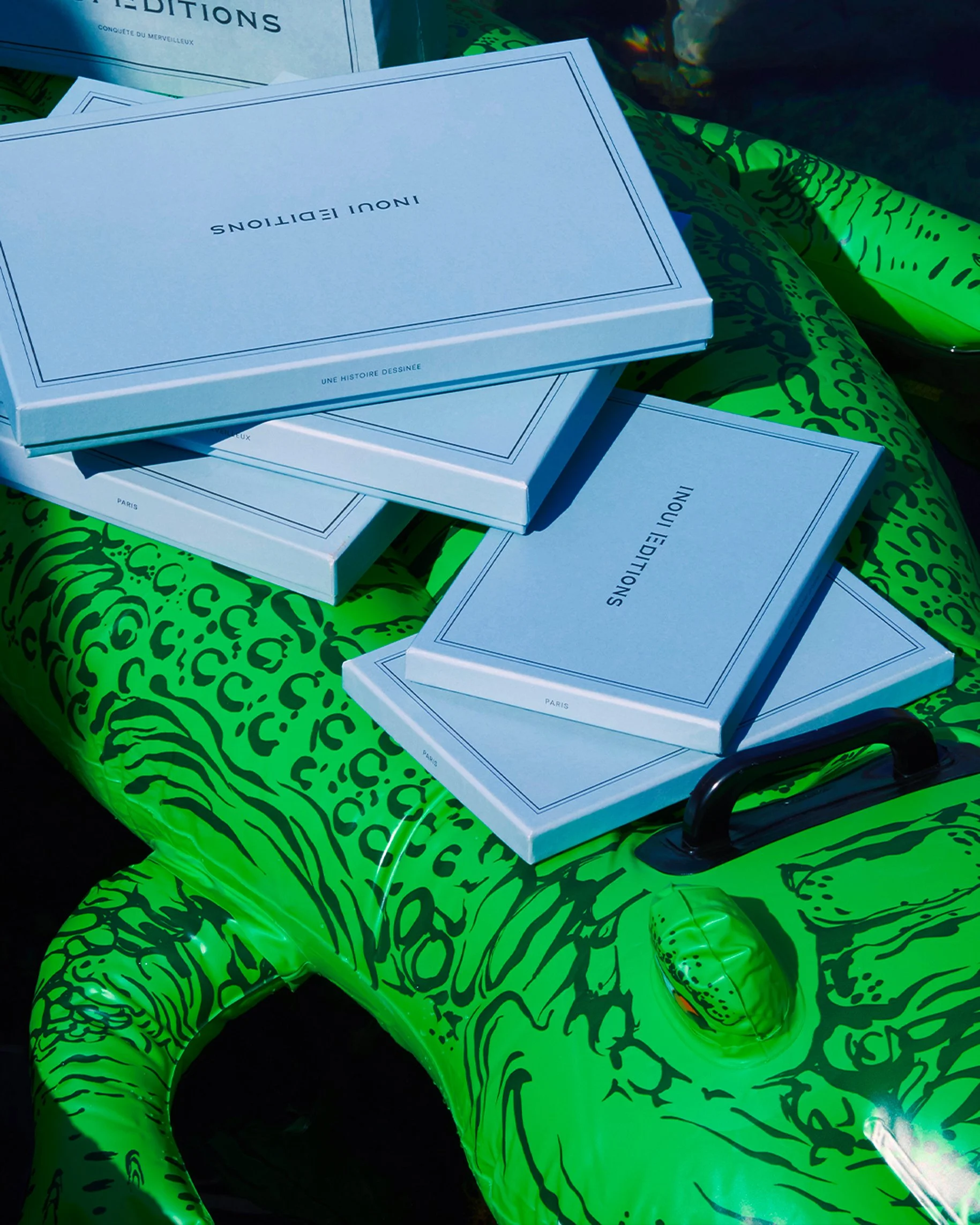 Stack of blue boxes labeled 'INOU EDITIONS' resting on a green inflatable crocodile.