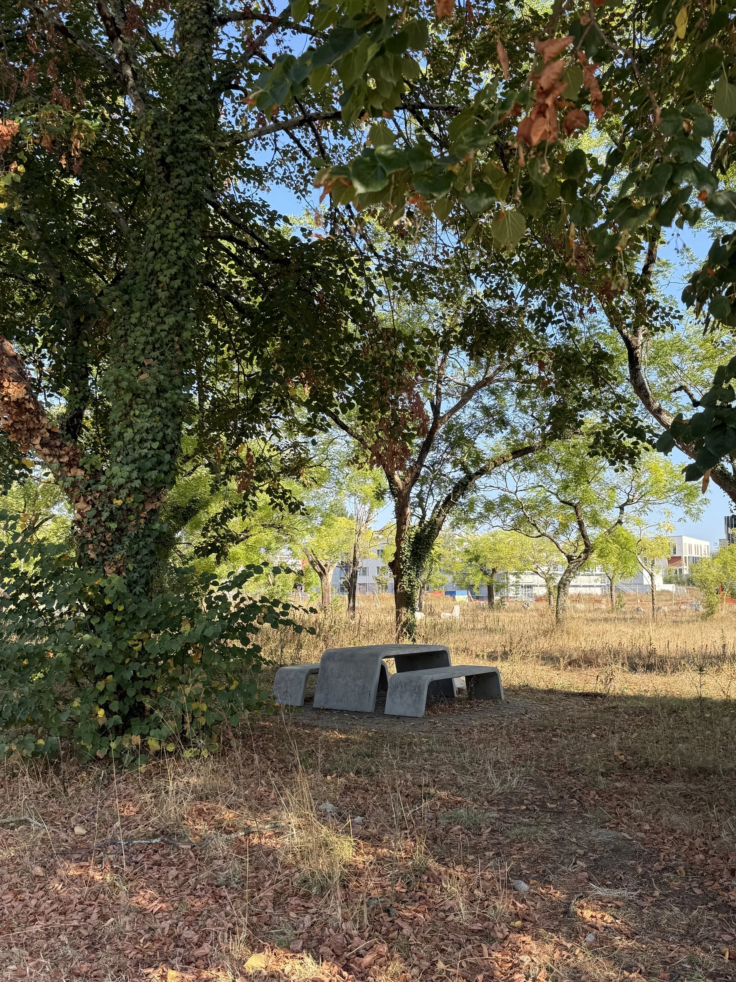 IMG_3860.jpeg
