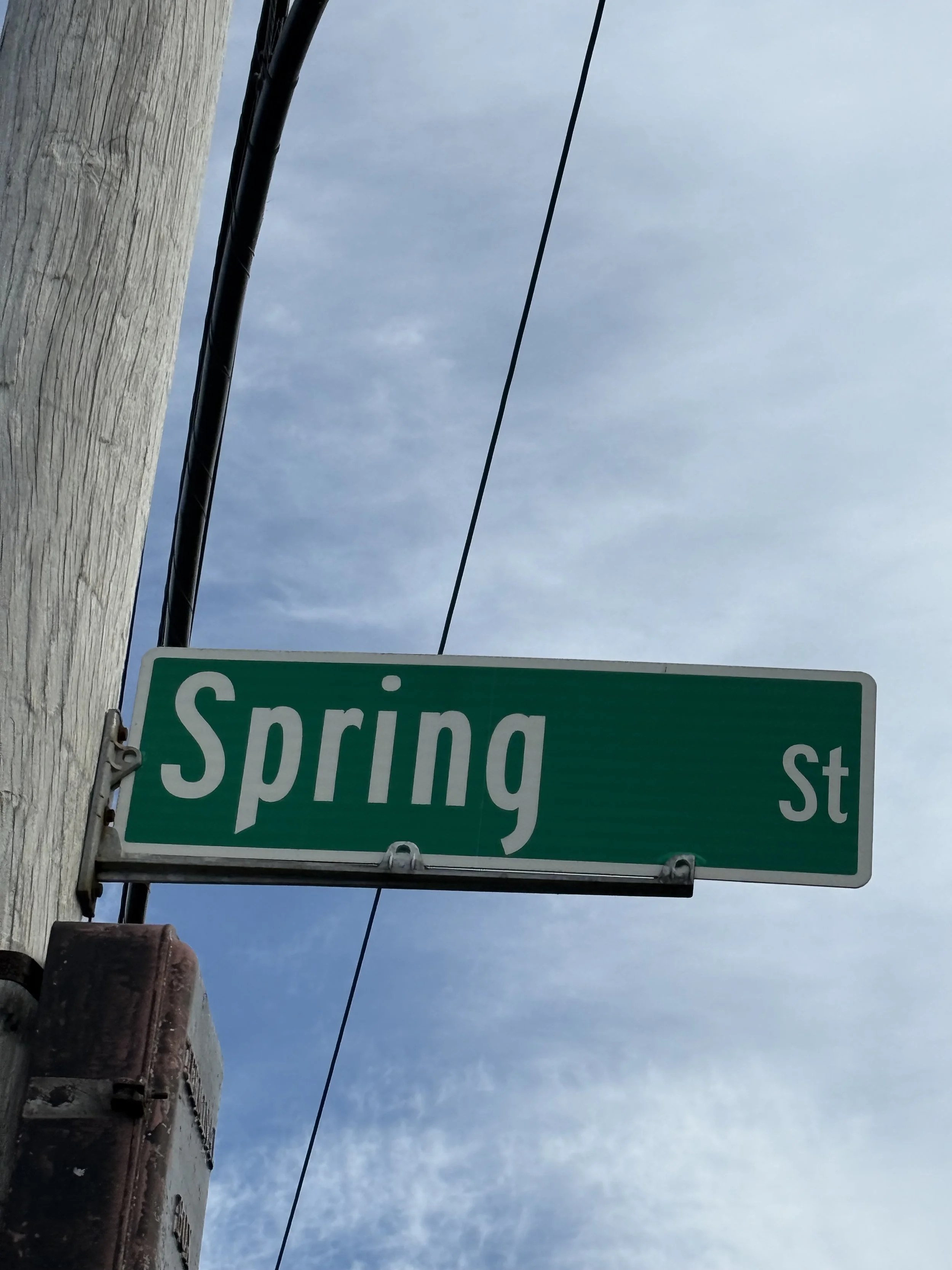 IMG_4230.jpeg