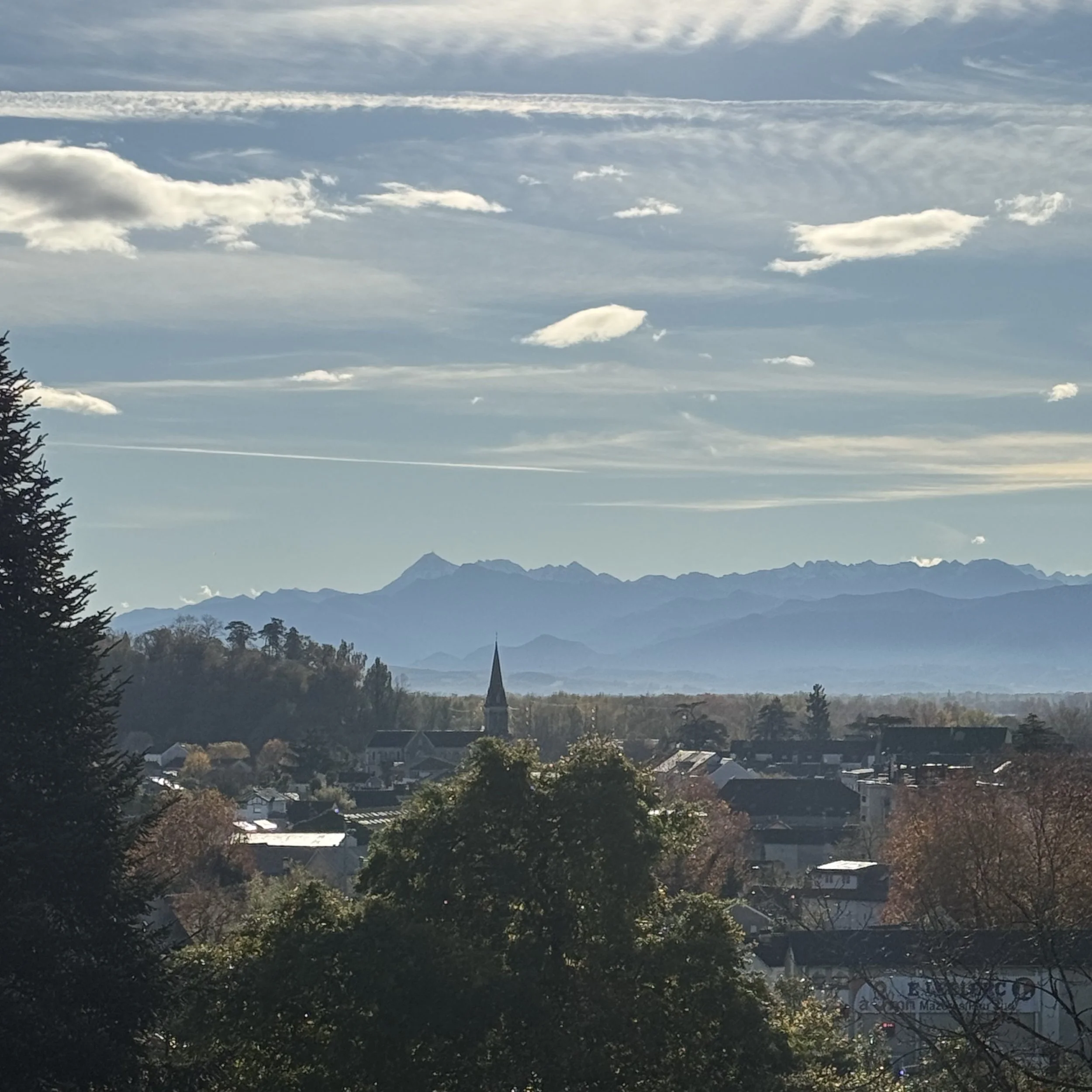 boulevard view 2.jpeg