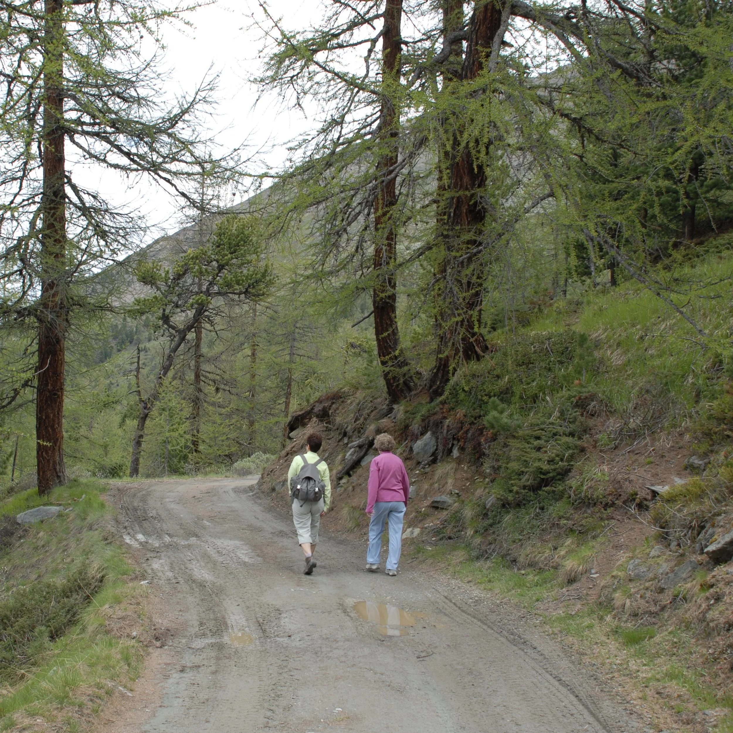 DSC_0069.JPG