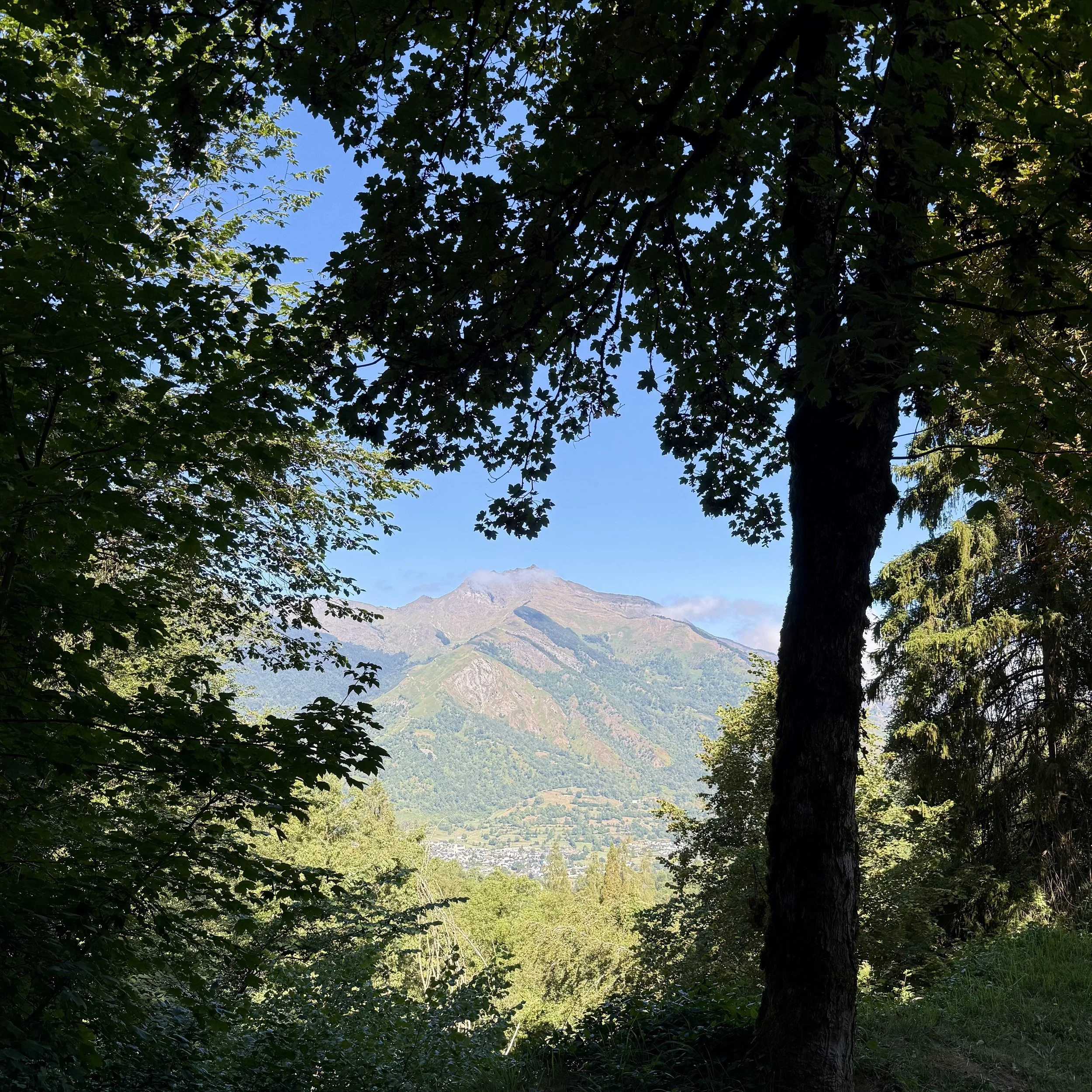 IMG_7784.jpeg