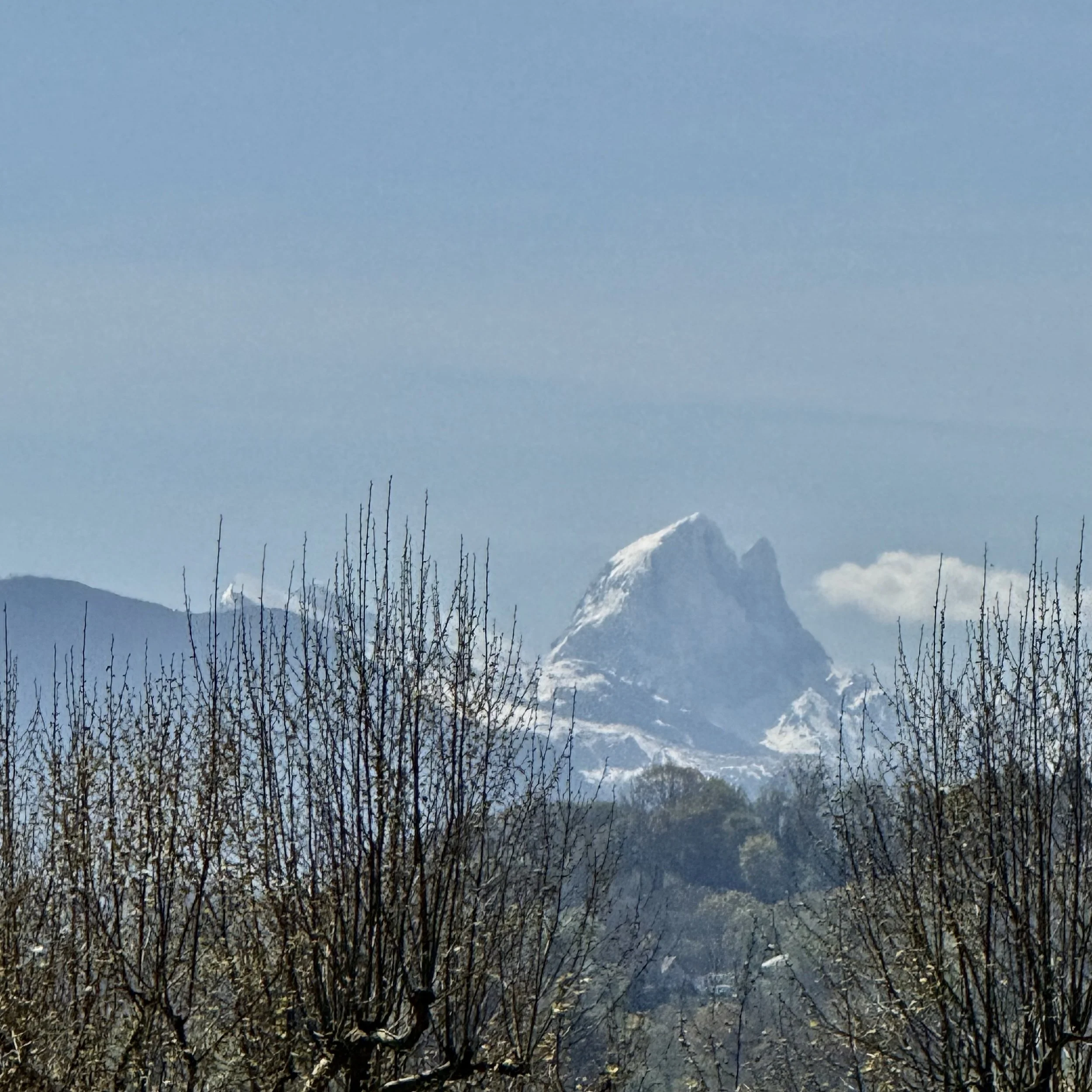 IMG_6722.jpeg