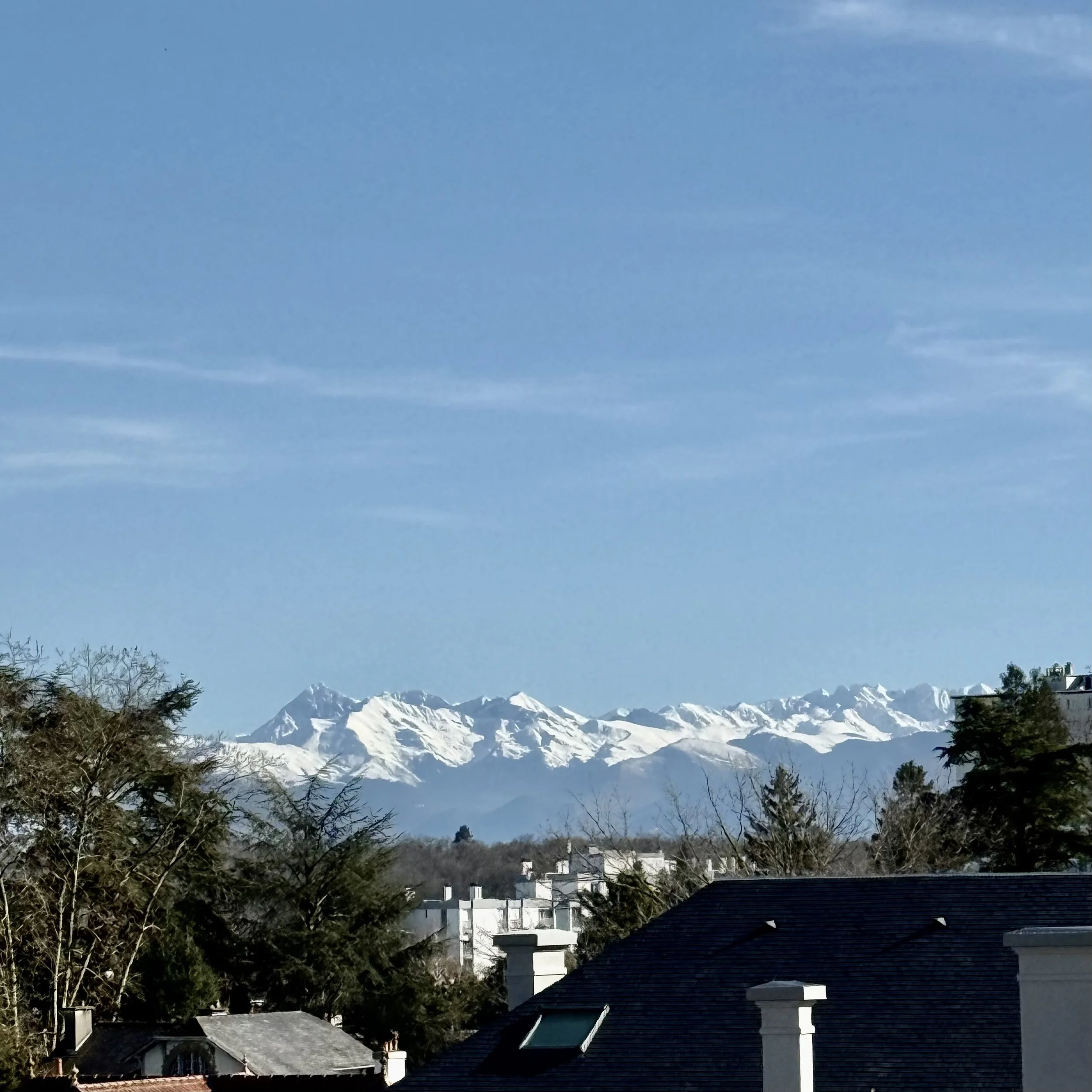 IMG_6195.jpeg