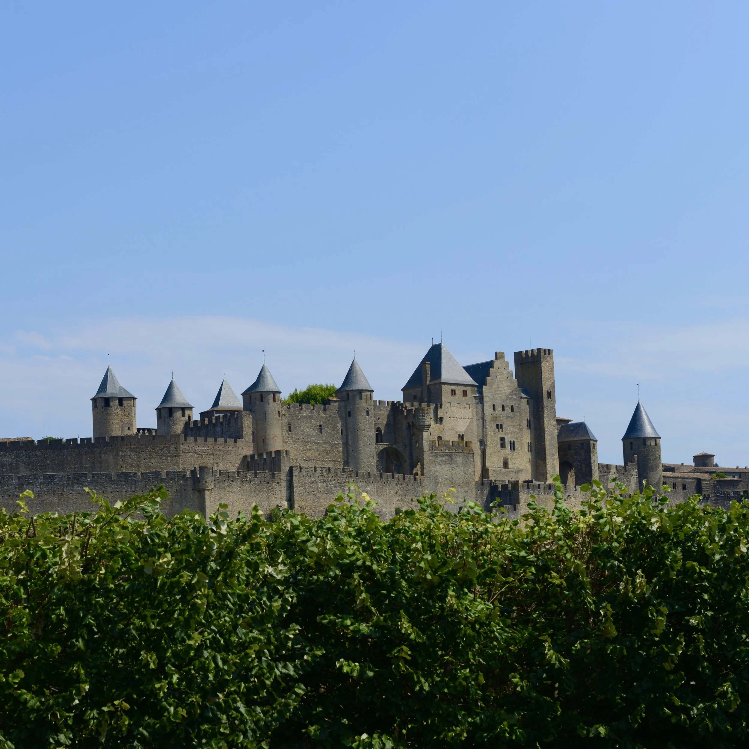 DSC_2809.JPG