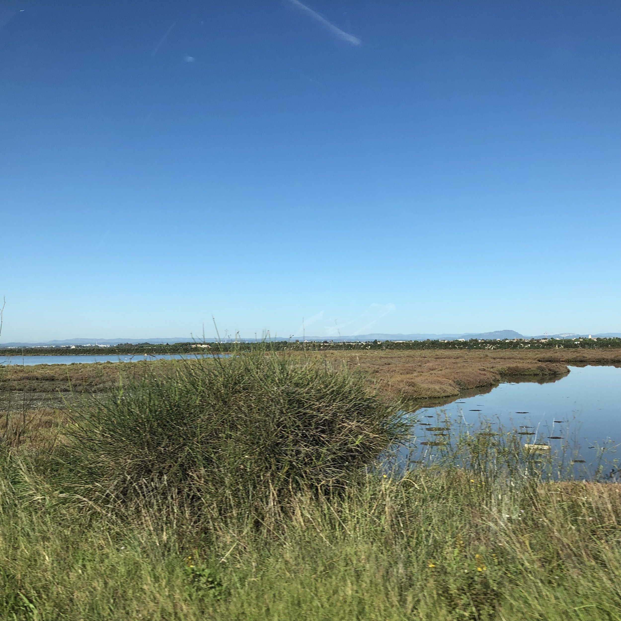IMG_3780.jpeg