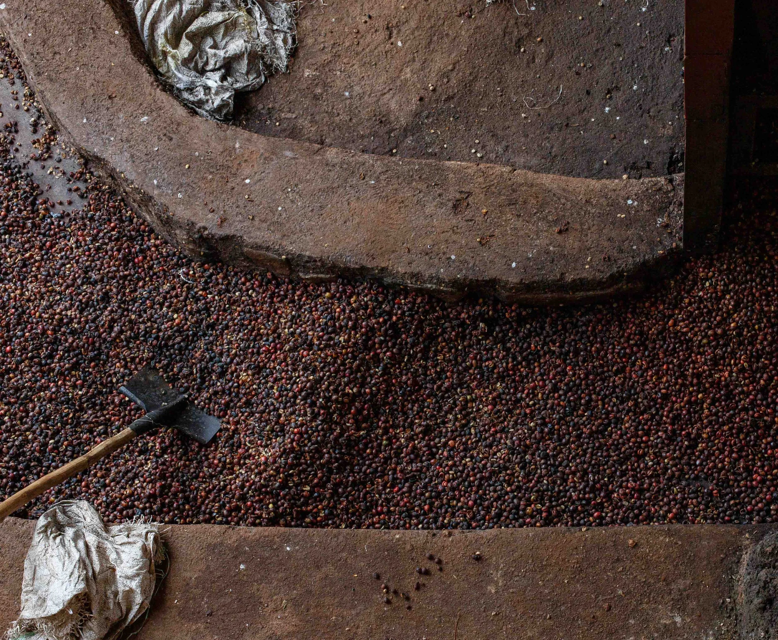 Rwandan Coffee - ROAST-6035.jpg