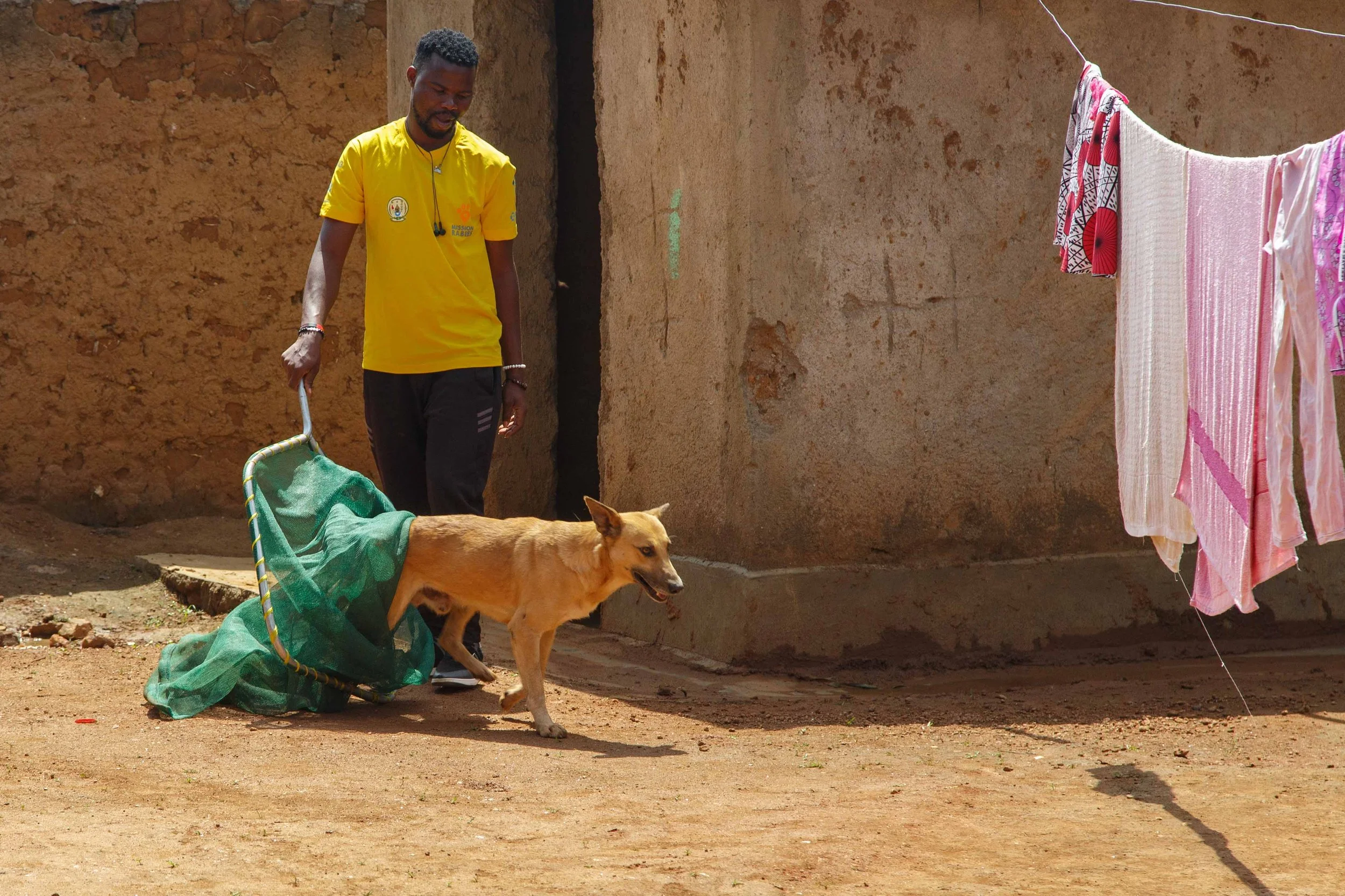 Eliminating Rabies in Rwanda?