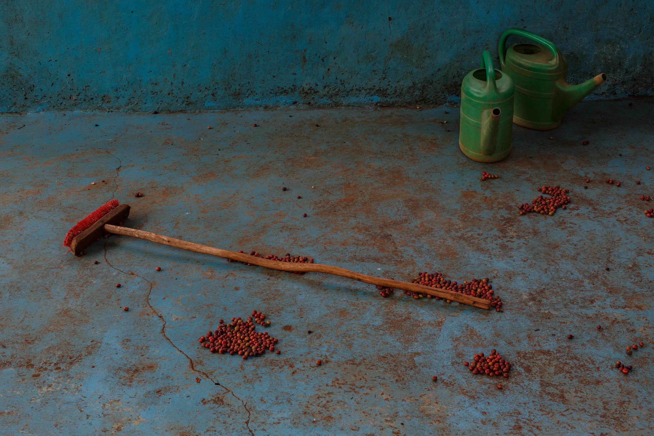 Rwandan Coffee - ROAST-6029.jpg