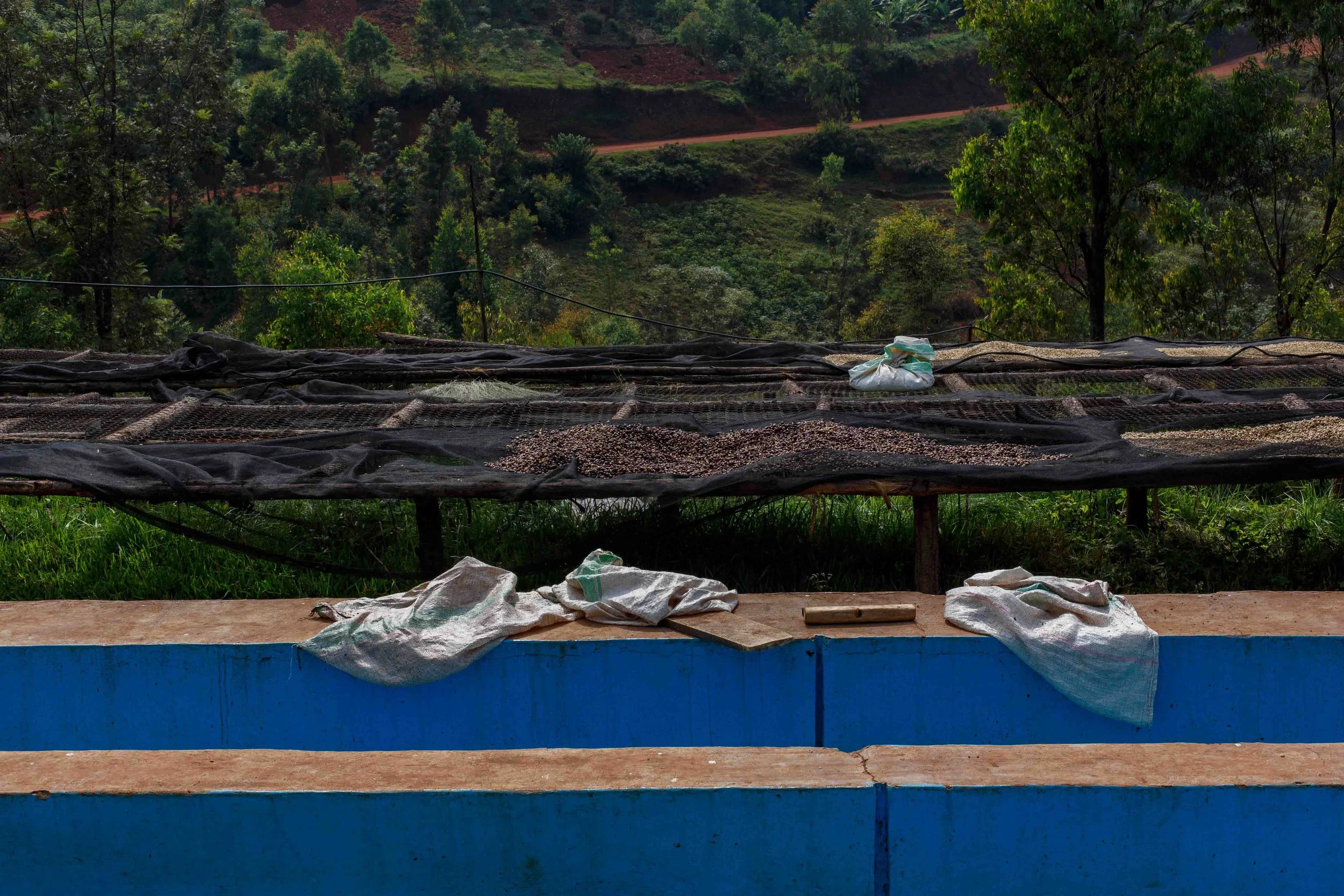 Rwandan Coffee - ROAST-6024.jpg