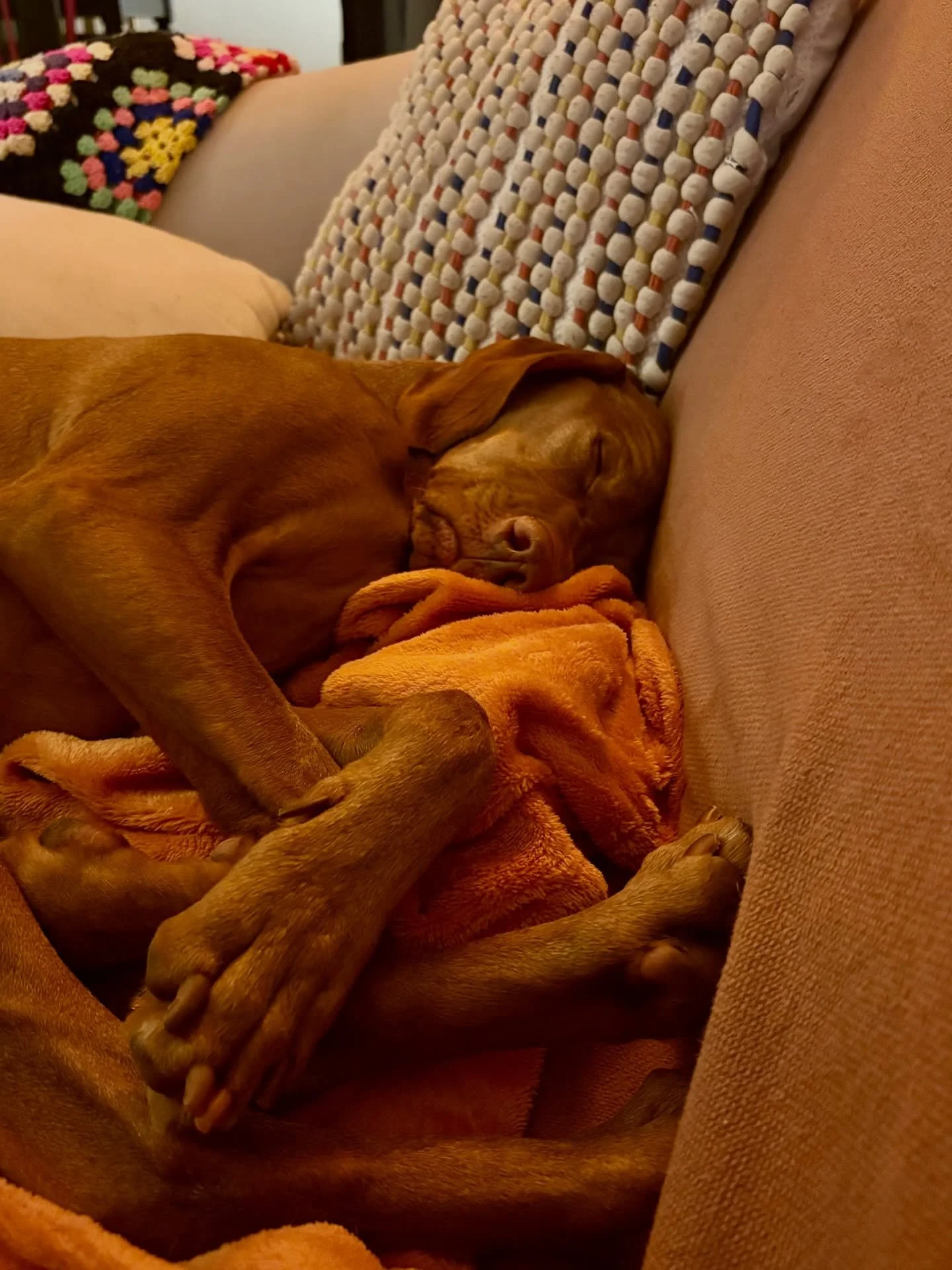 Someone is very relaxed this evening&hellip;