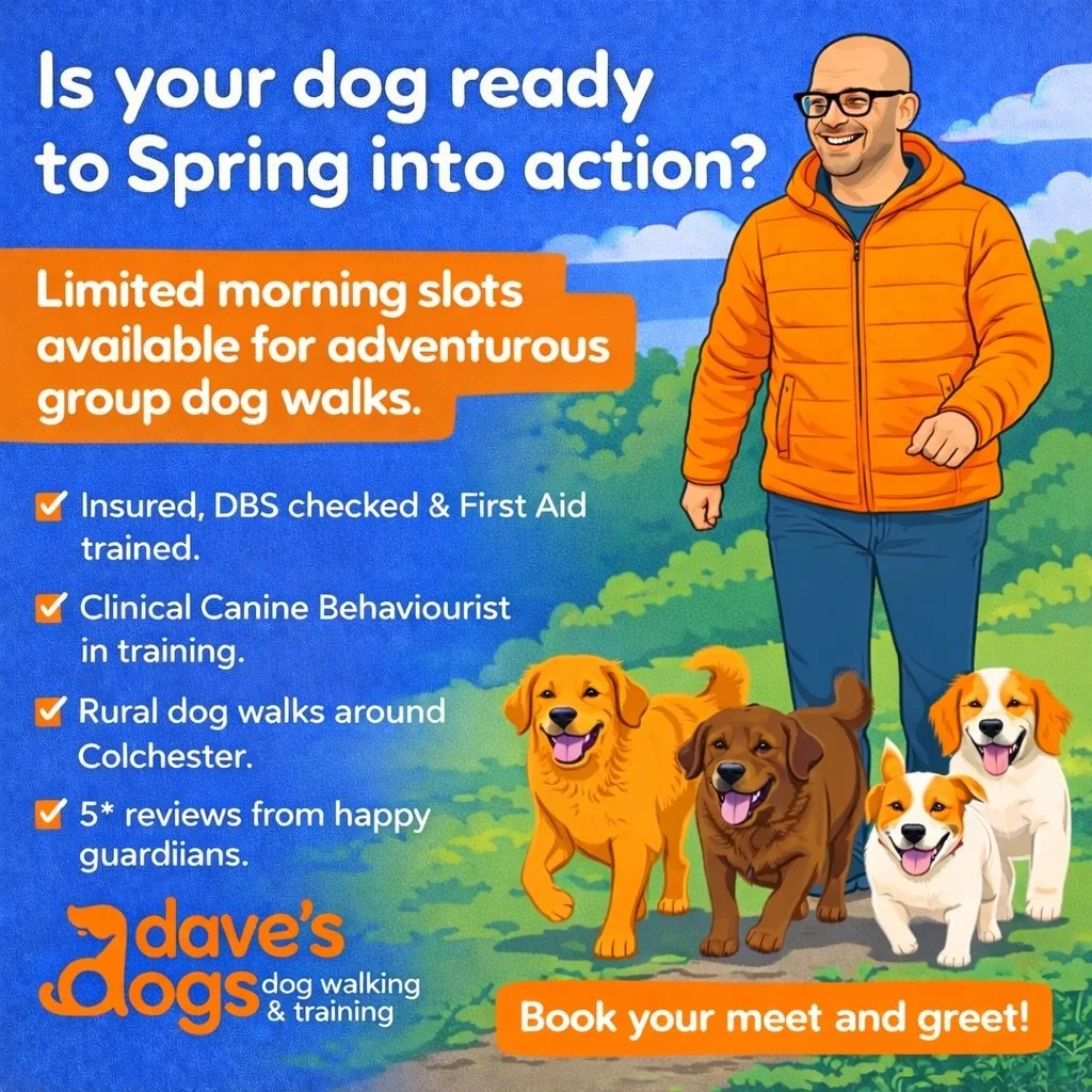 Is your dog ready to Spring into action? 🌿🐾

I have limited morning group walking slots available around Colchester.

These are proper countryside walks, not quick laps of the estate. Small, well matched groups. Space to move. Time to sniff. Calm s