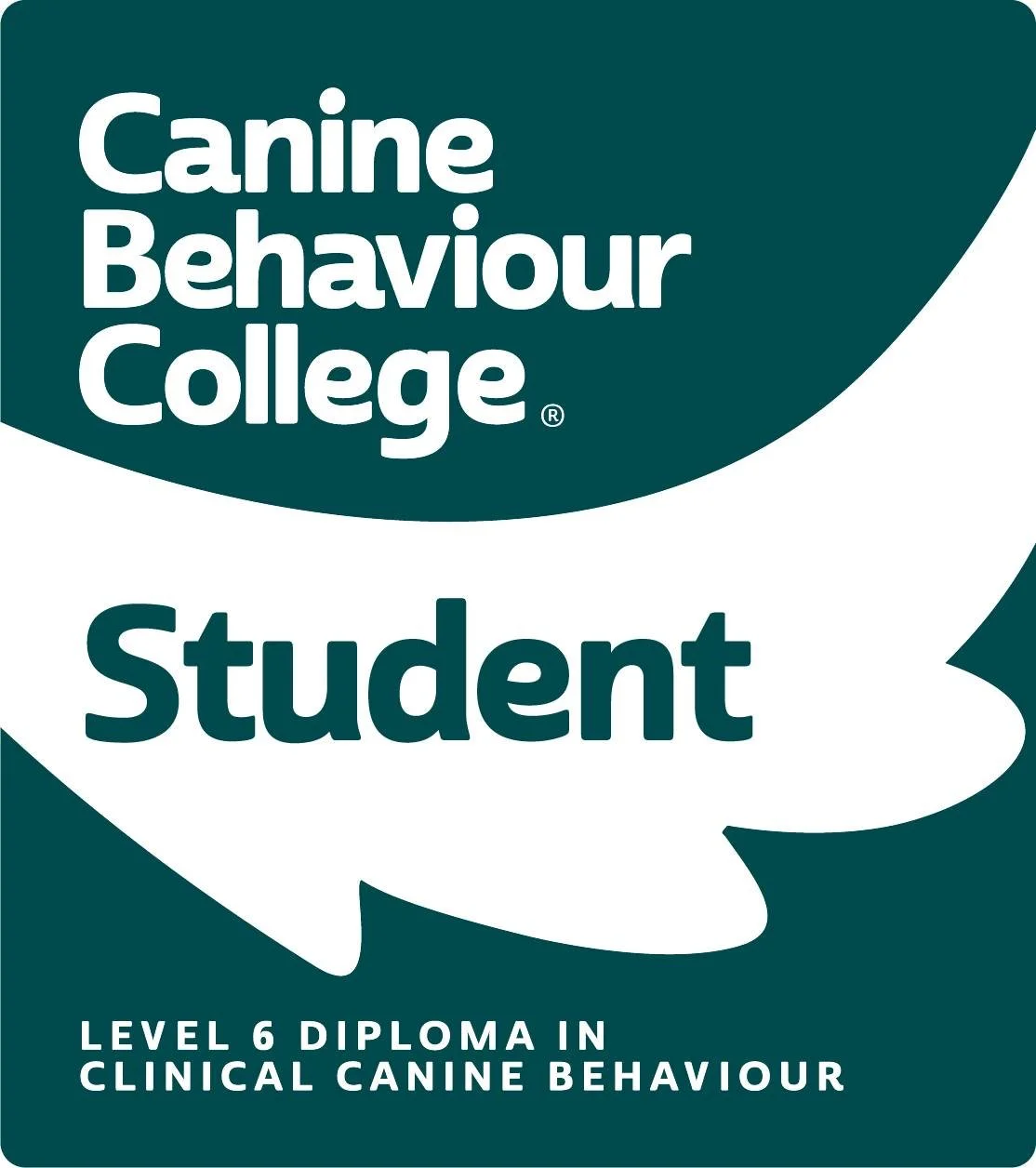 Big news for my little business as I begin my Level 6 Diploma in Clinical Canine Behaviour!

This isn&rsquo;t a quick add-on course. It&rsquo;s a degree-level, Ofqual regulated qualification that focuses on practical, reward-based behaviour work.

Wh