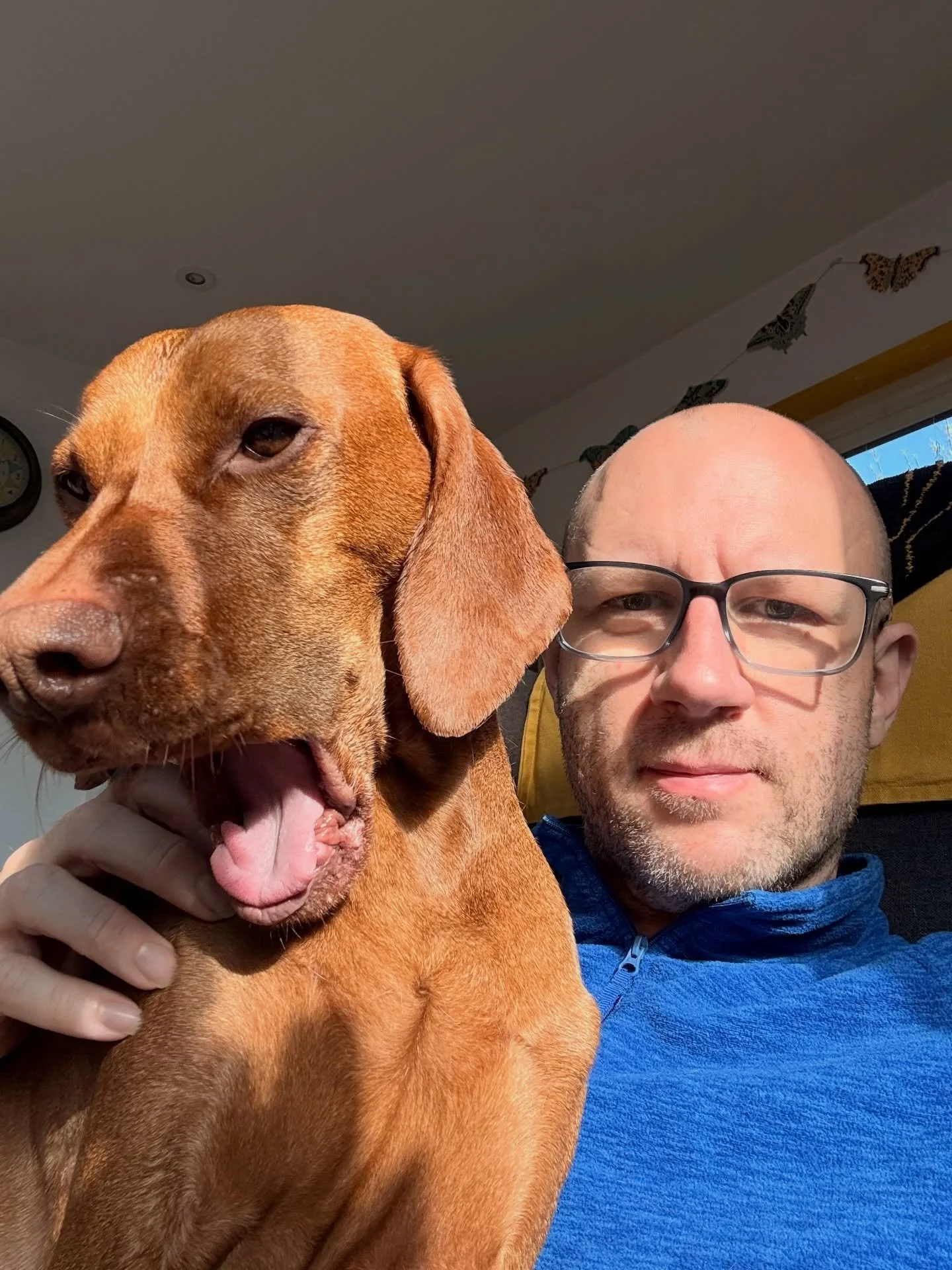 Something surprising is happening with Albert&rsquo;s behaviour. For the past few weeks I&rsquo;ve begun to incorporate more games into our day. The games we&rsquo;re playing are ones that help to strengthen the area of Albert&rsquo;s brain that help