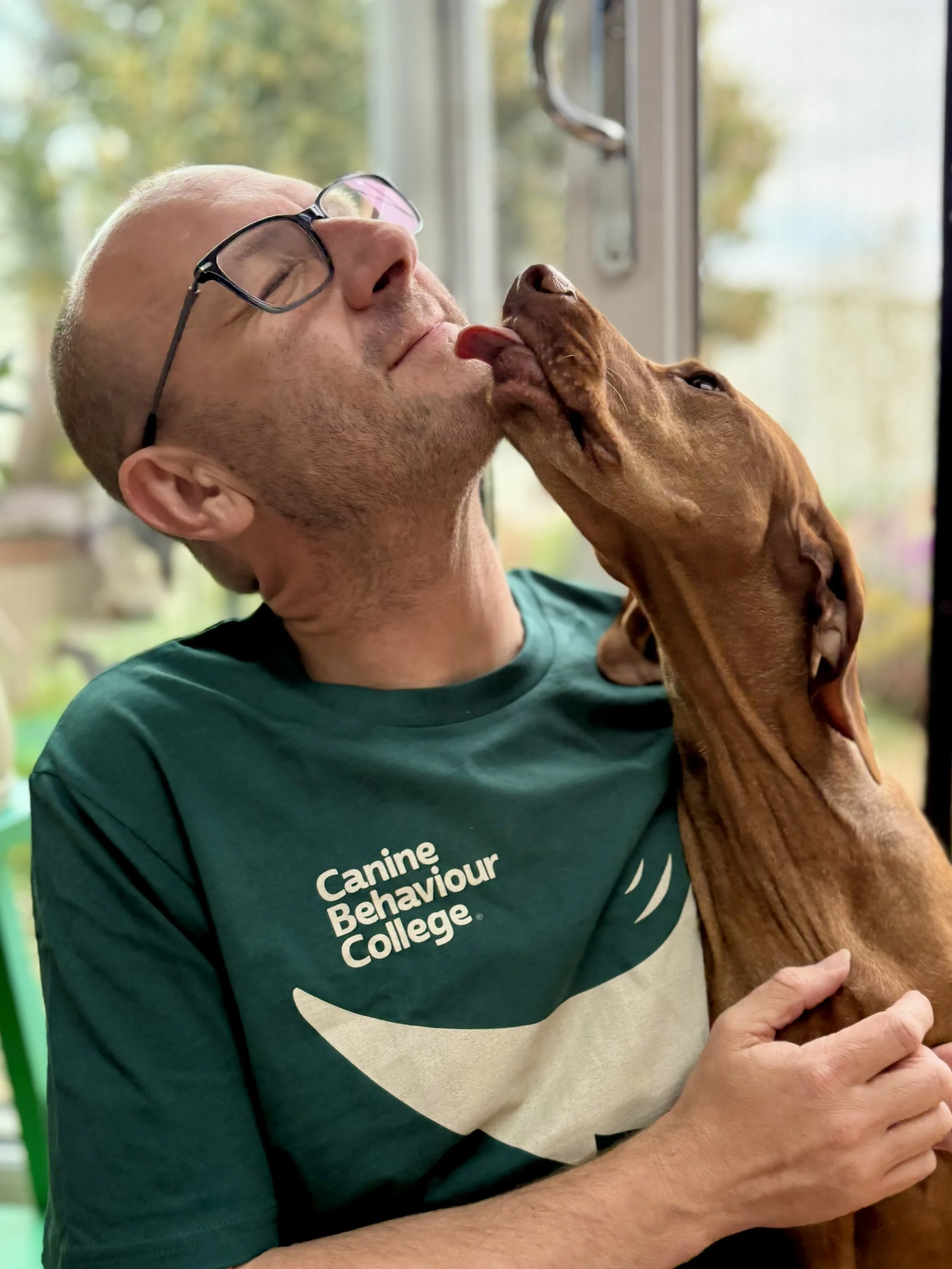 Dave and Albert sitting together with Albert the vizsla licking Dave's face