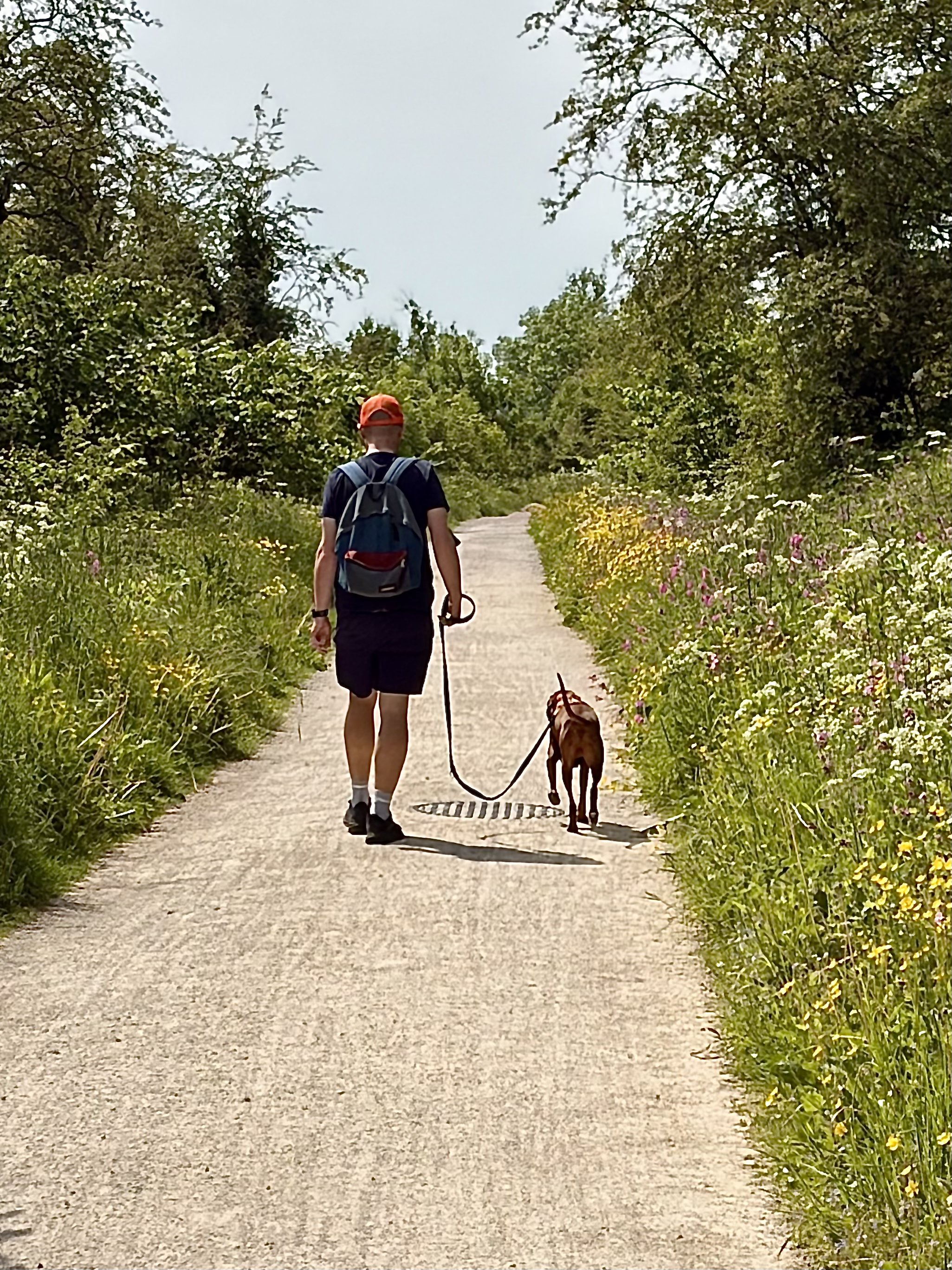 Dave and vizsla Albert walking along a sunny trail
