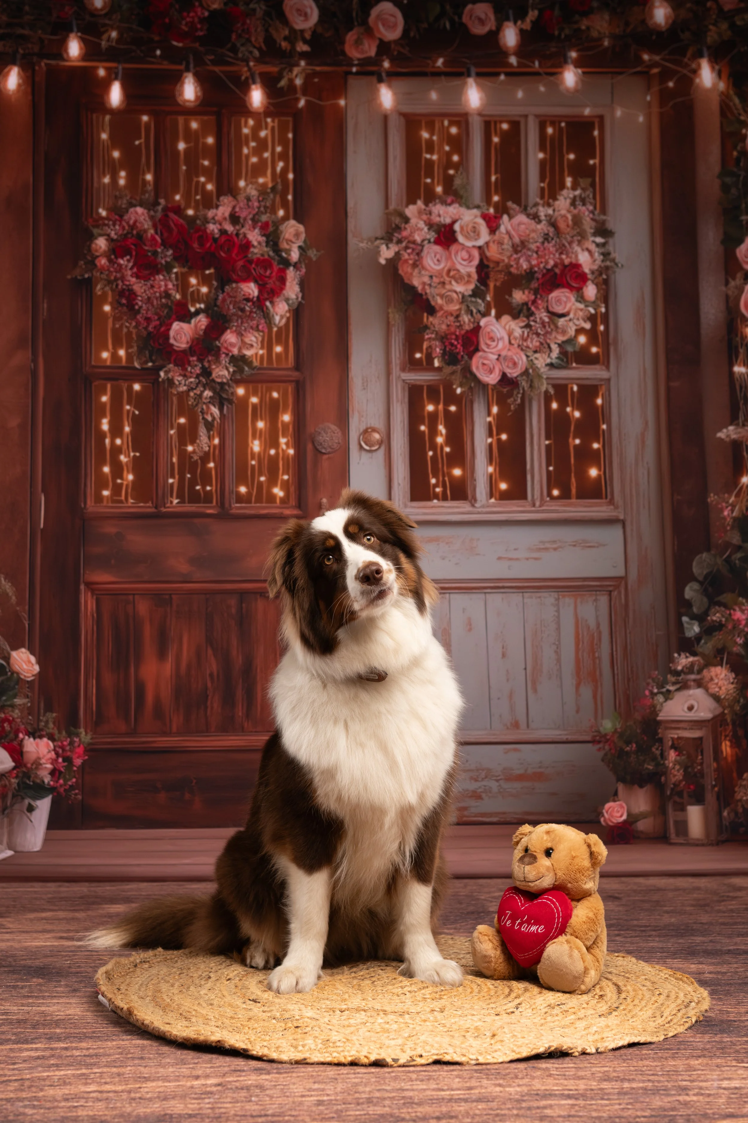 Un chien de race Border Collie blanc et brun assis sur un tapis rond en osier, avec un ours en peluche tenant un cœur rouge avec l'inscription "Je t'aime" devant une porte en bois décorée de guirlandes de fleurs et de cœurs en papier, avec des lumières suspendues au plafond.