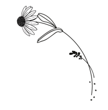 Line drawing of a coneflower.