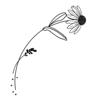 A line drawing of a coneflower.