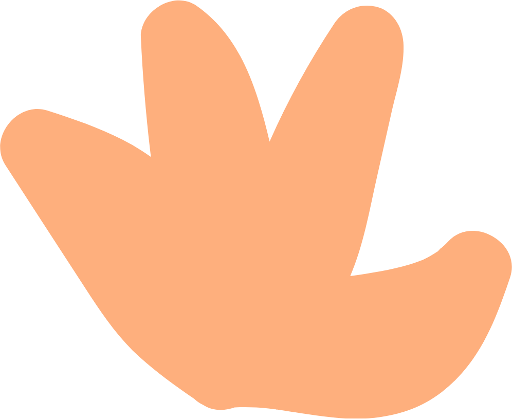 preparing for birth with private midwife focused on informed choice