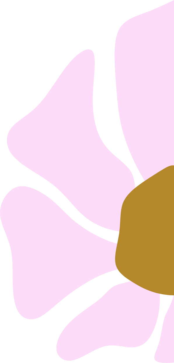 personalised pregnancy care with private midwife in calm home setting