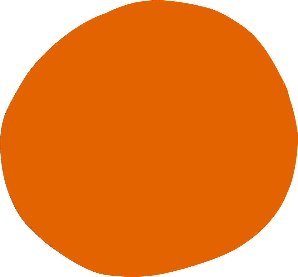 holistic pregnancy support with private midwife focused on individual needs