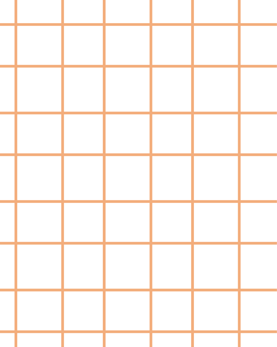 birth planning consultation with private midwife for personalised care