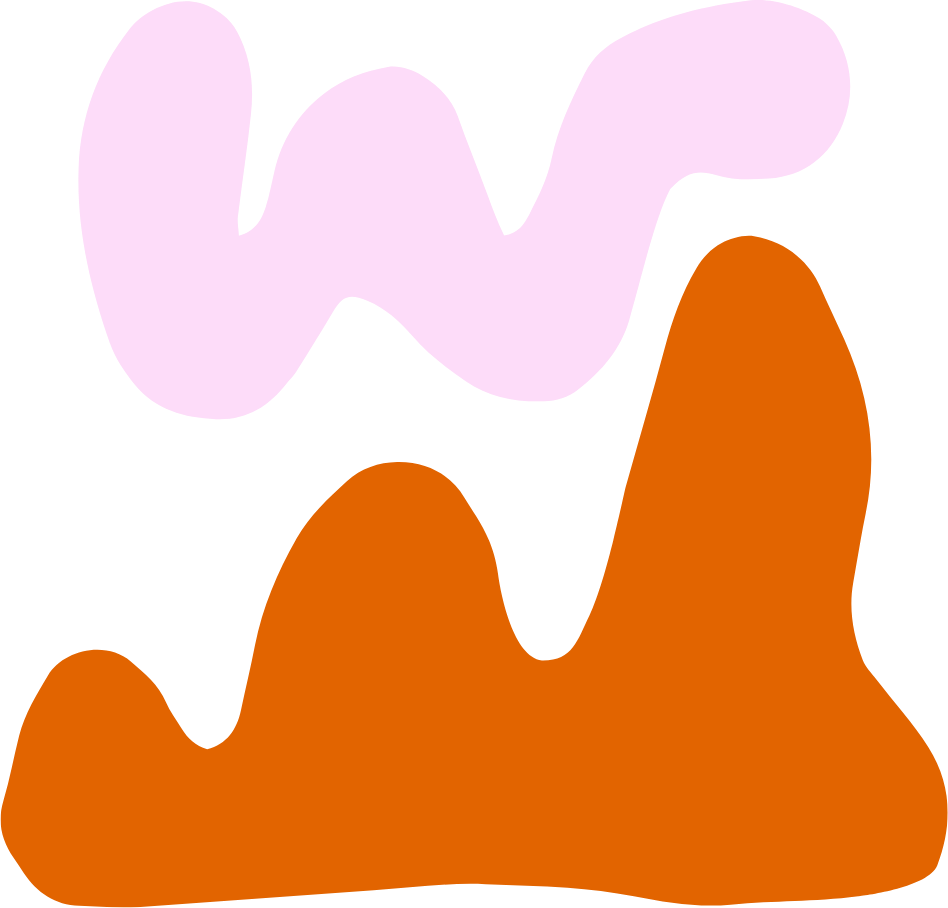 supportive home-based maternity care beyond standard clinical appointments